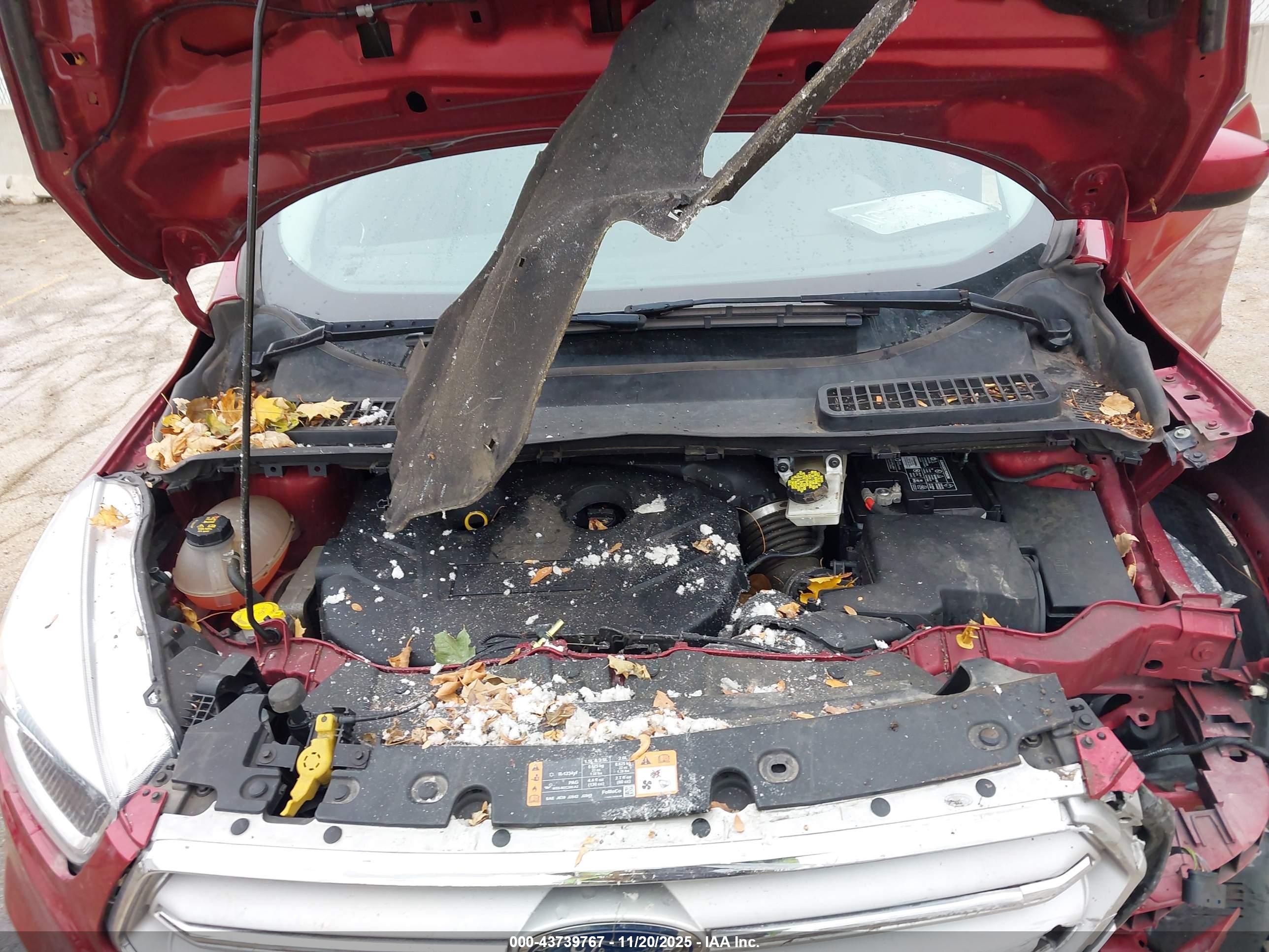 FORD ESCAPE image 10