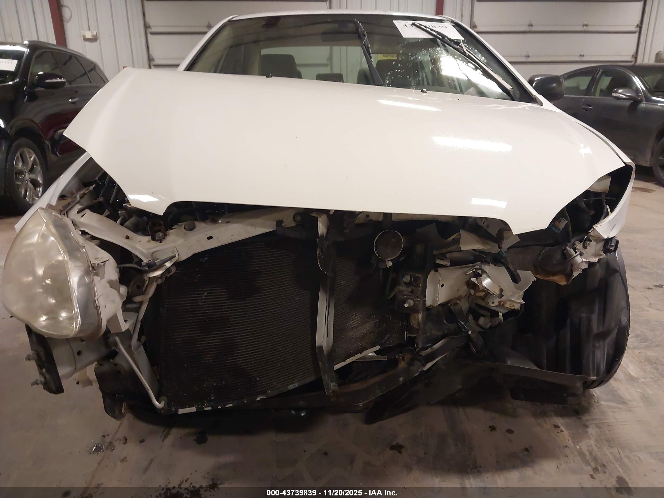 TOYOTA COROLLA image 6