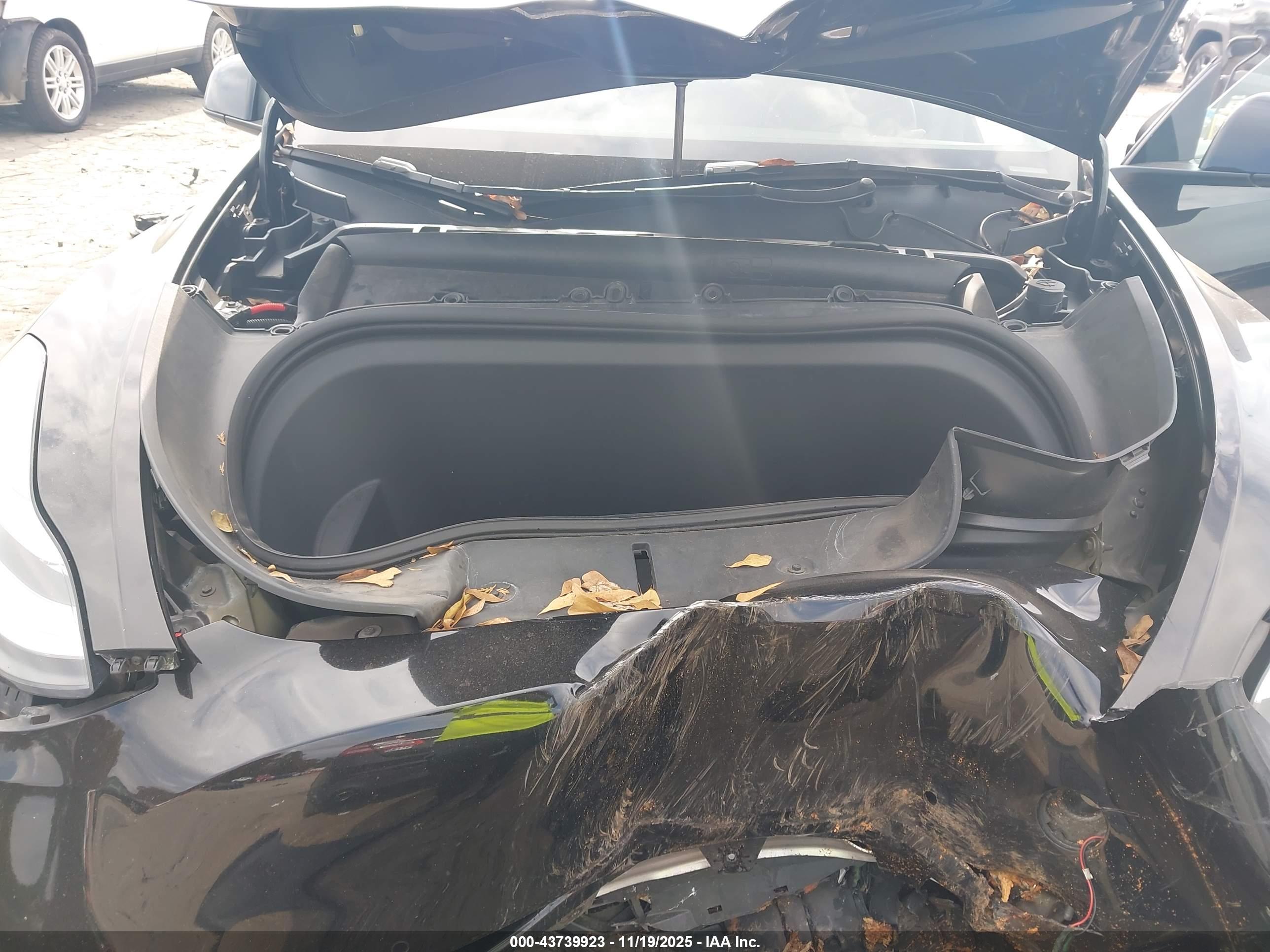 TESLA MODEL image 10