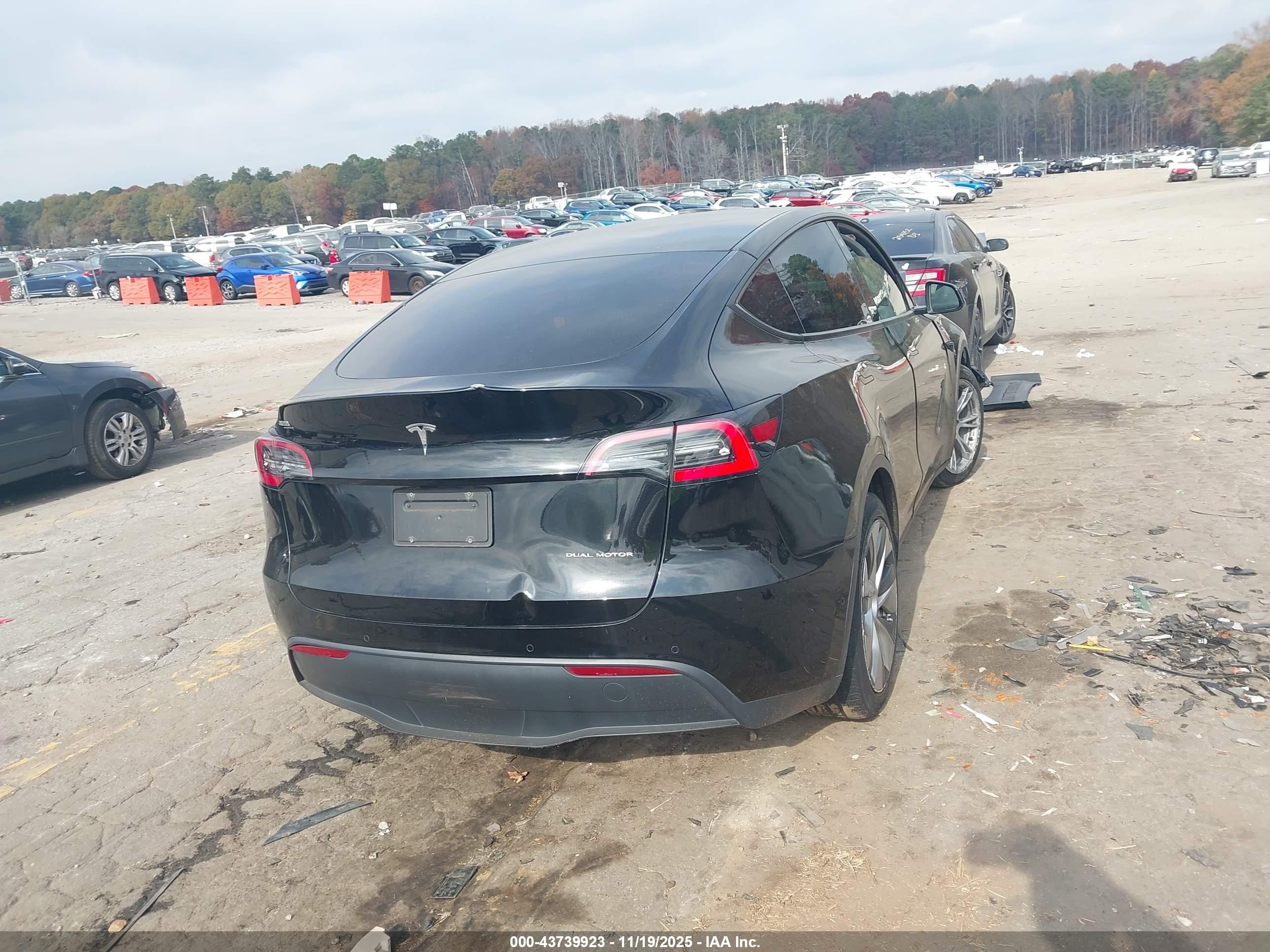 TESLA MODEL image 4