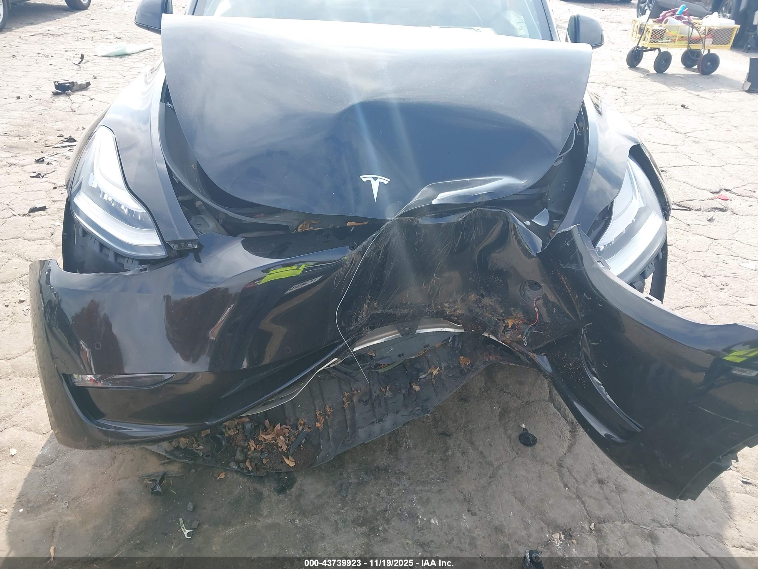 TESLA MODEL image 6