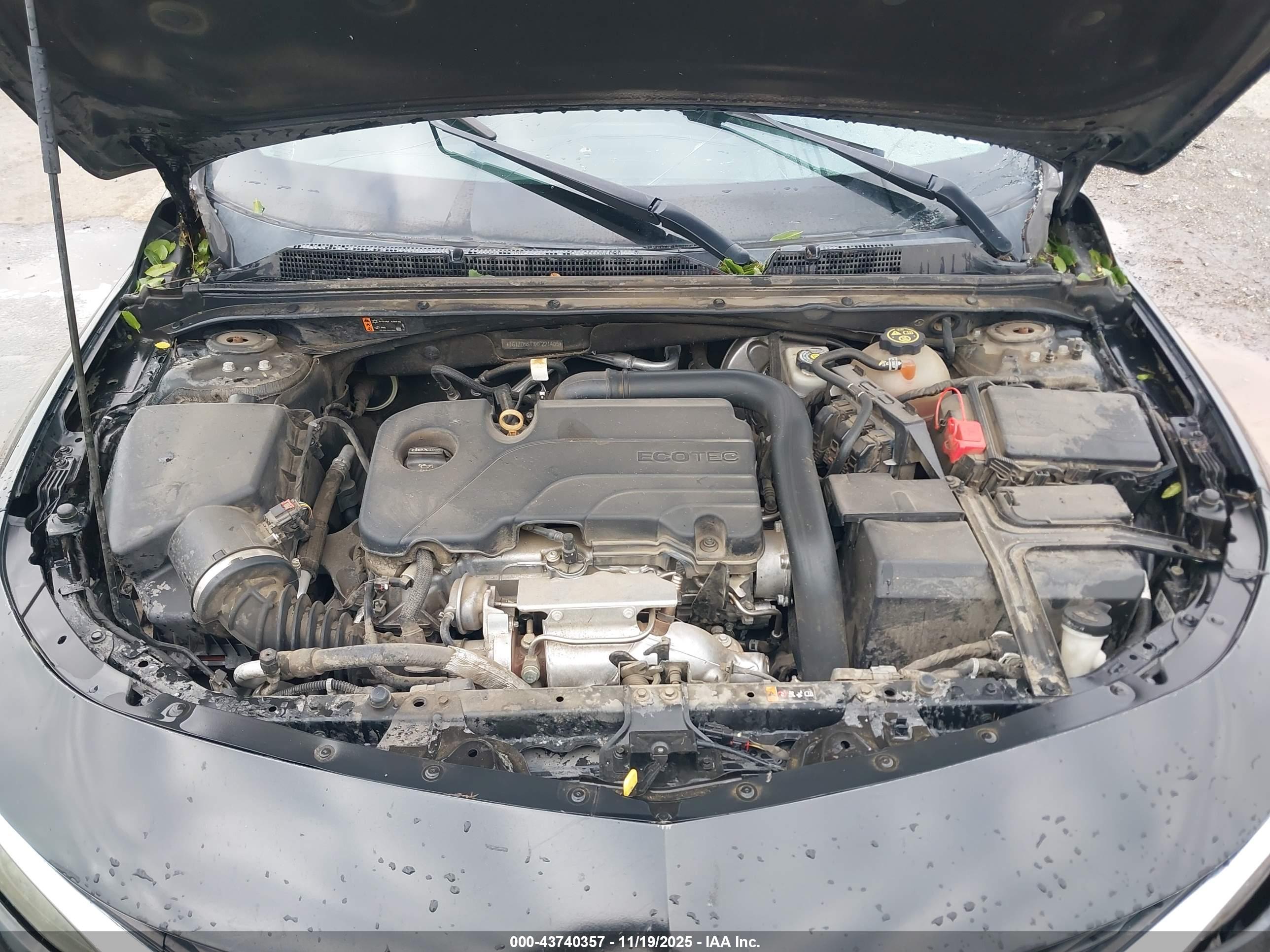 CHEVROLET MALIBU image 10