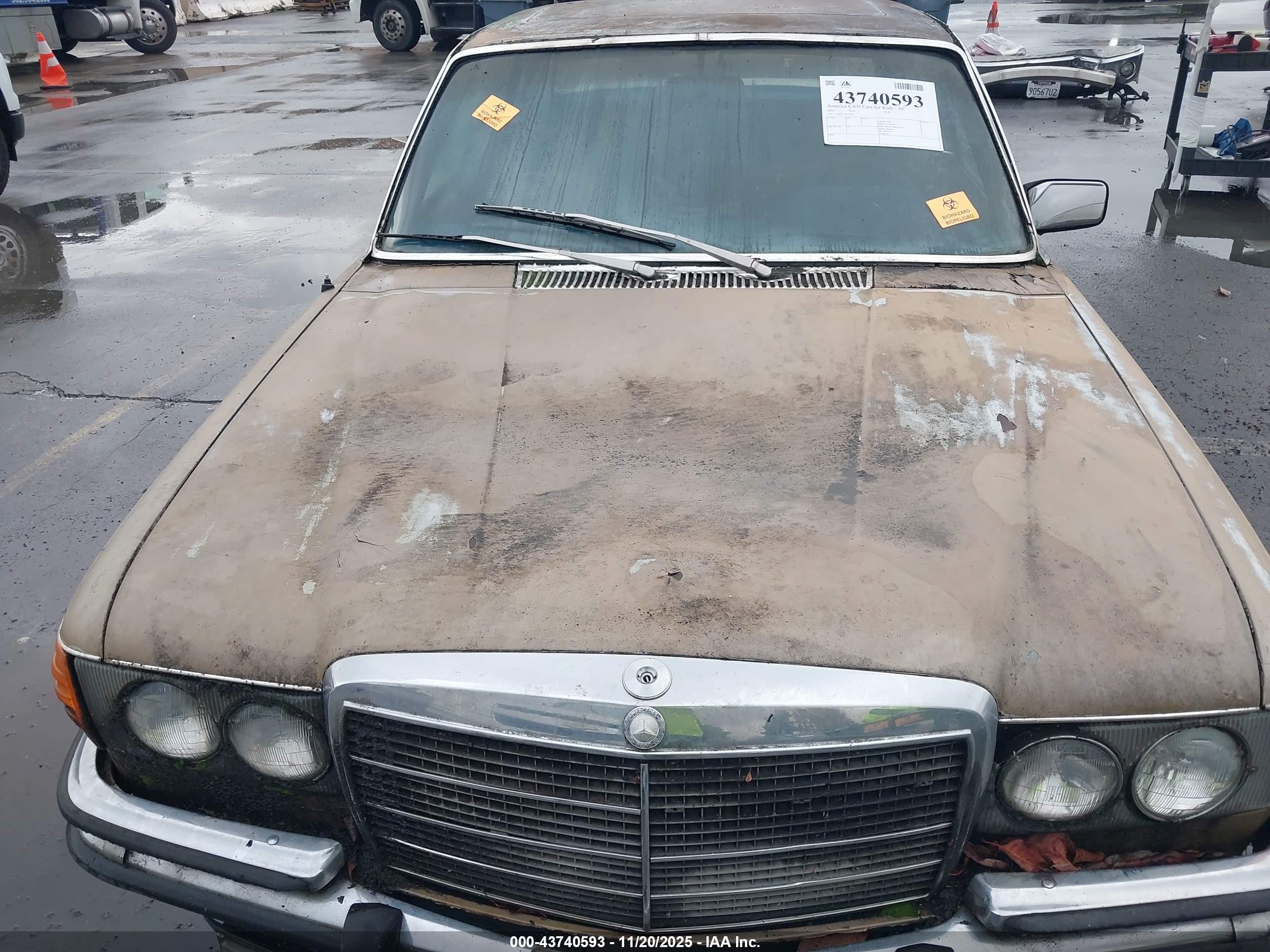 MERCEDES BENZ image 10