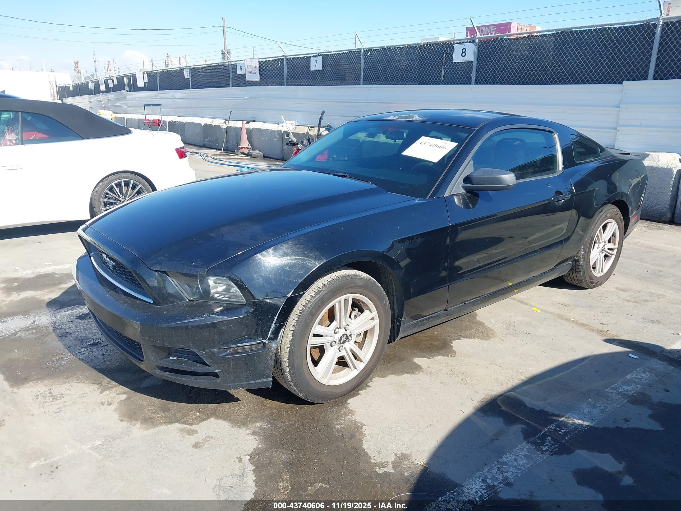FORD MUSTANG image 2