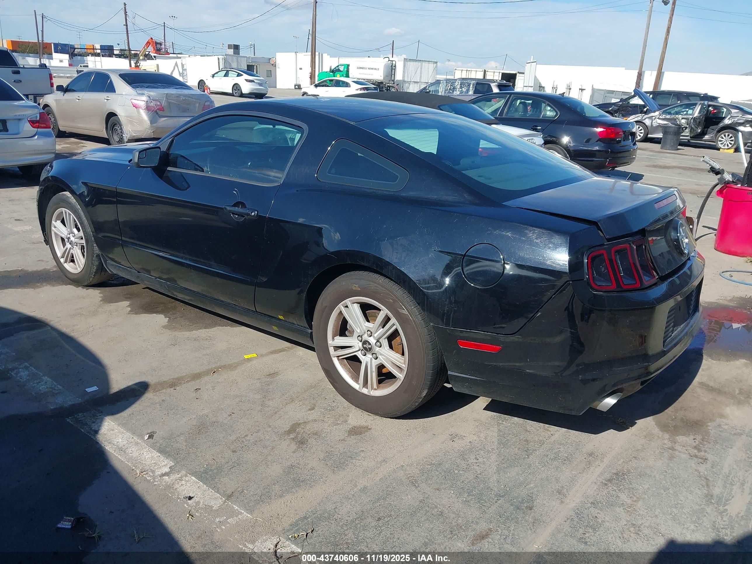 FORD MUSTANG image 3