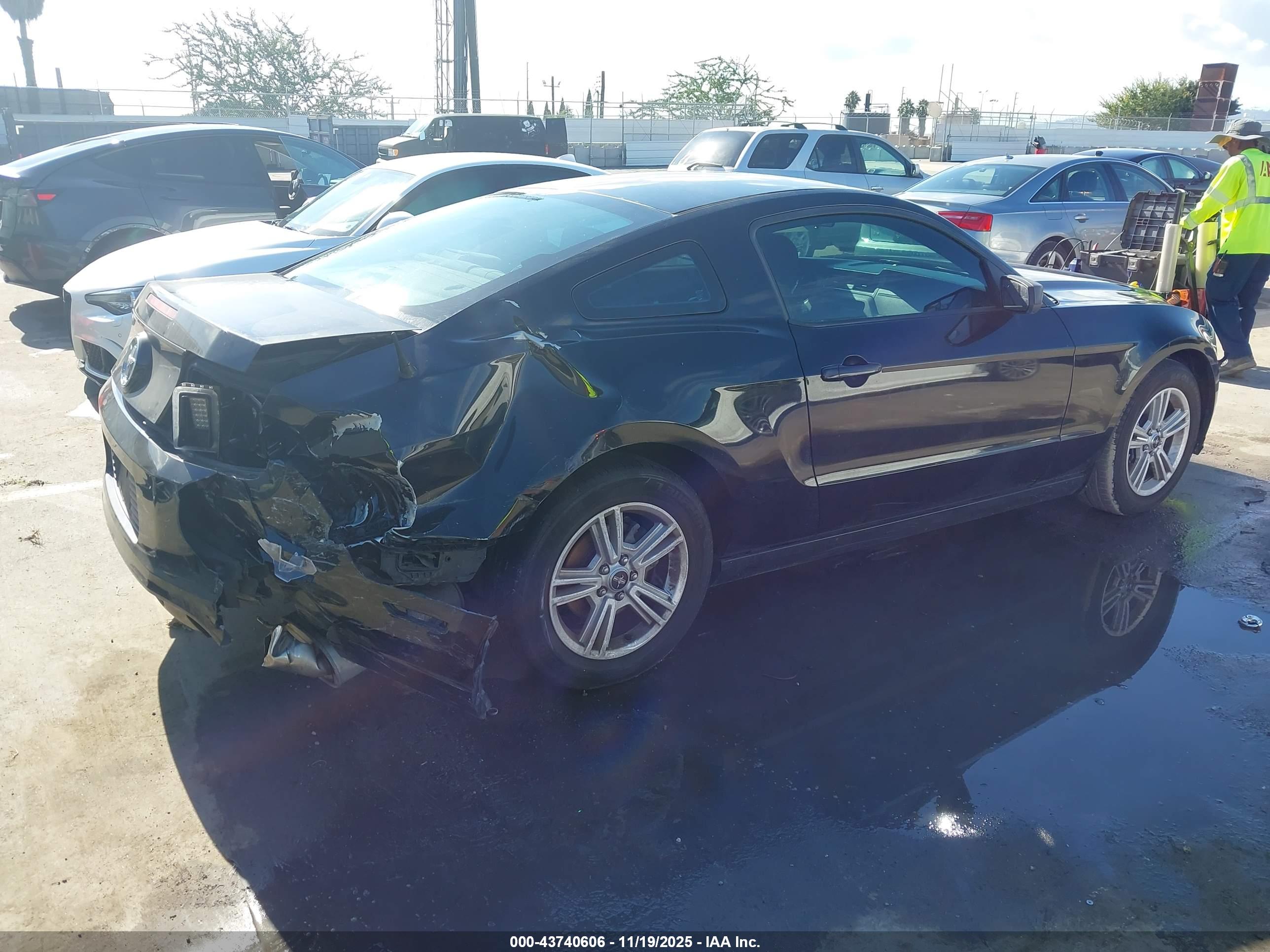 FORD MUSTANG image 4