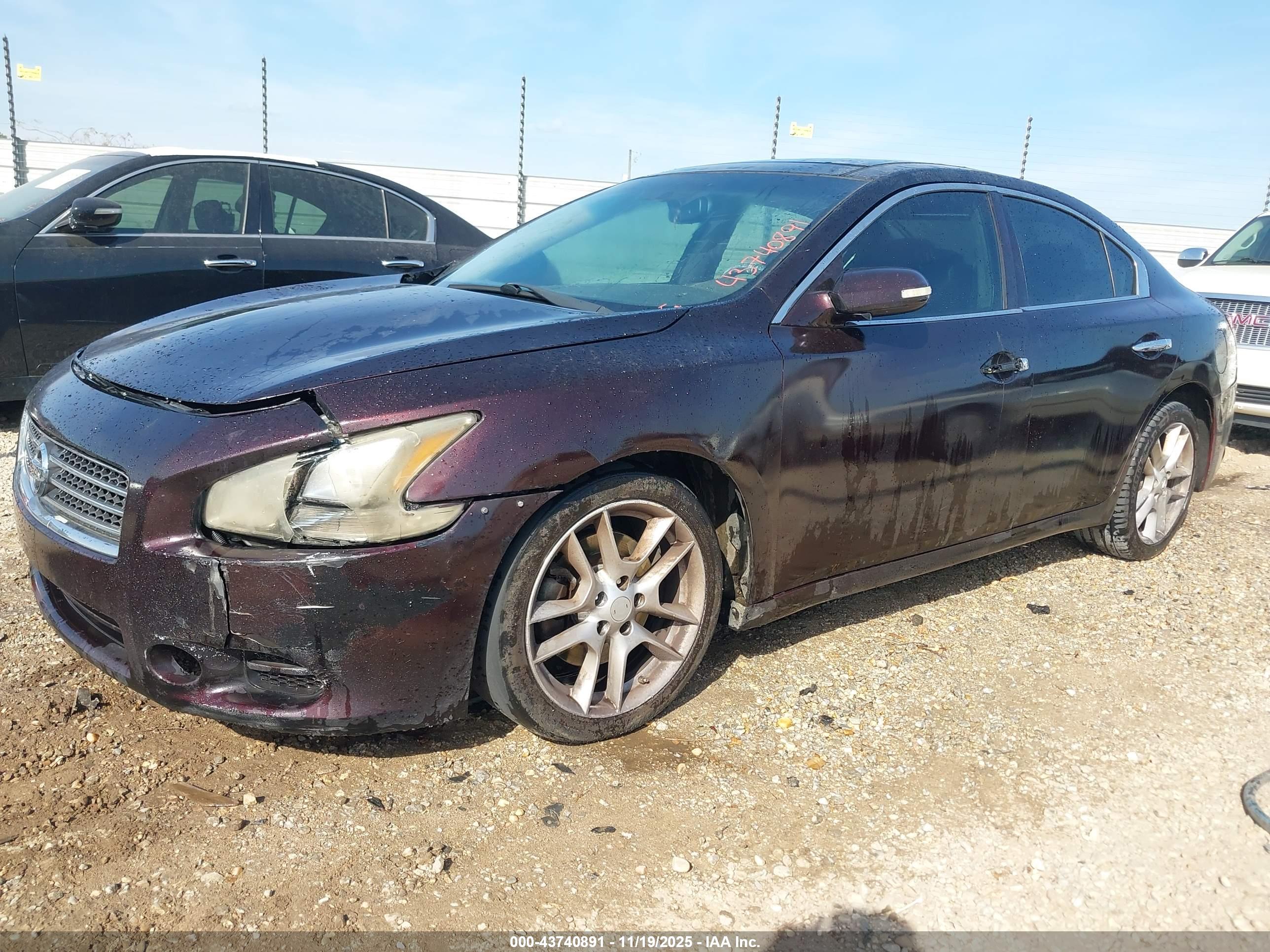 NISSAN MAXIMA image 2