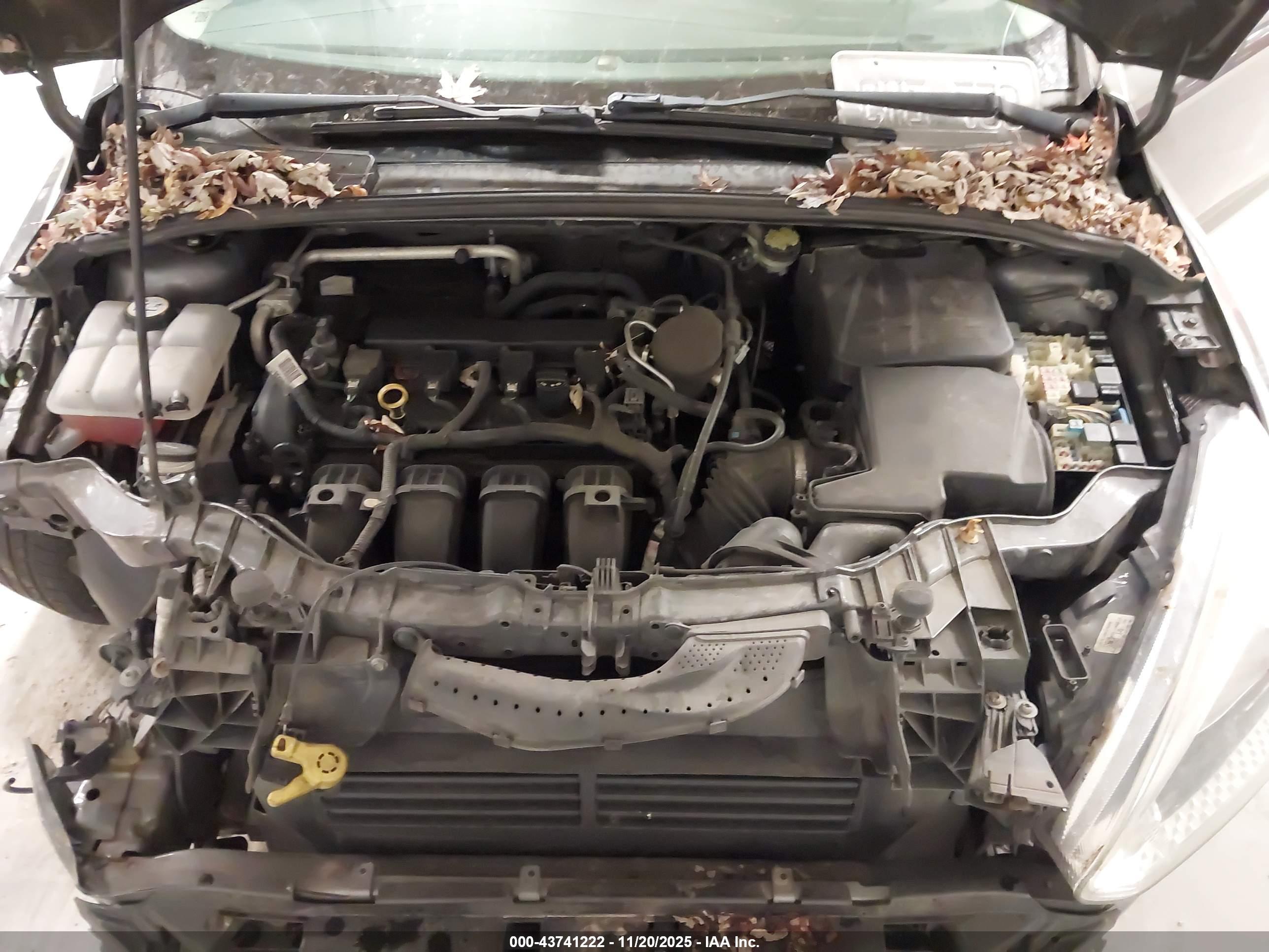 FORD FOCUS image 10