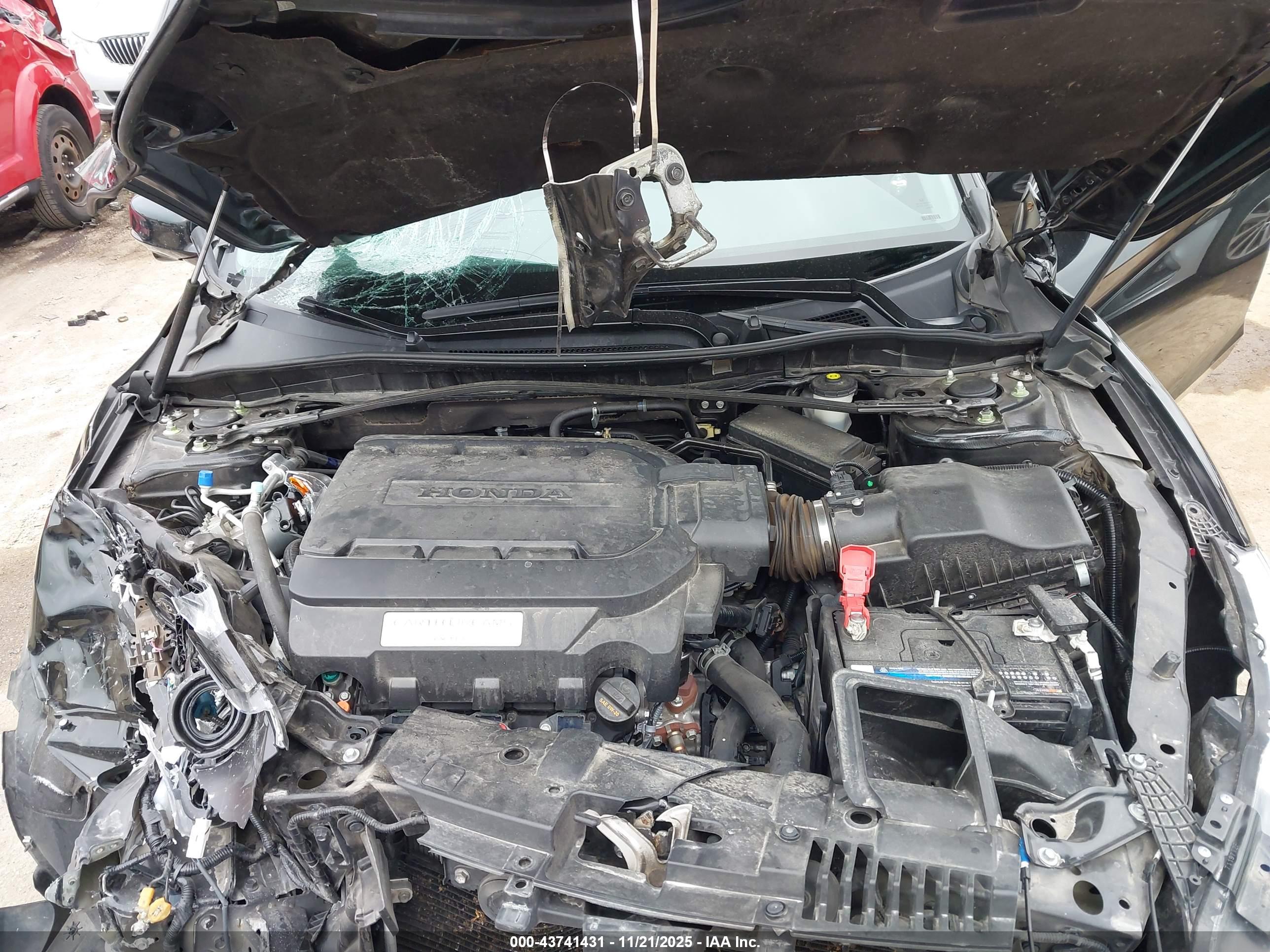 HONDA ACCORD image 10