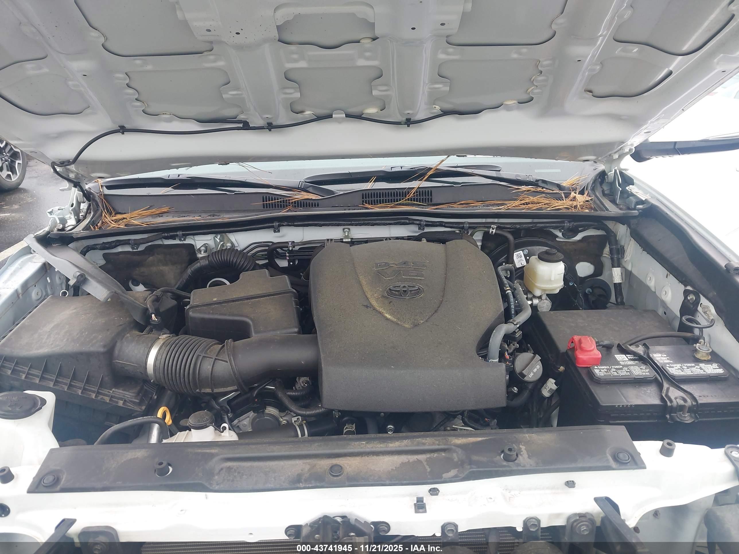TOYOTA TACOMA image 10
