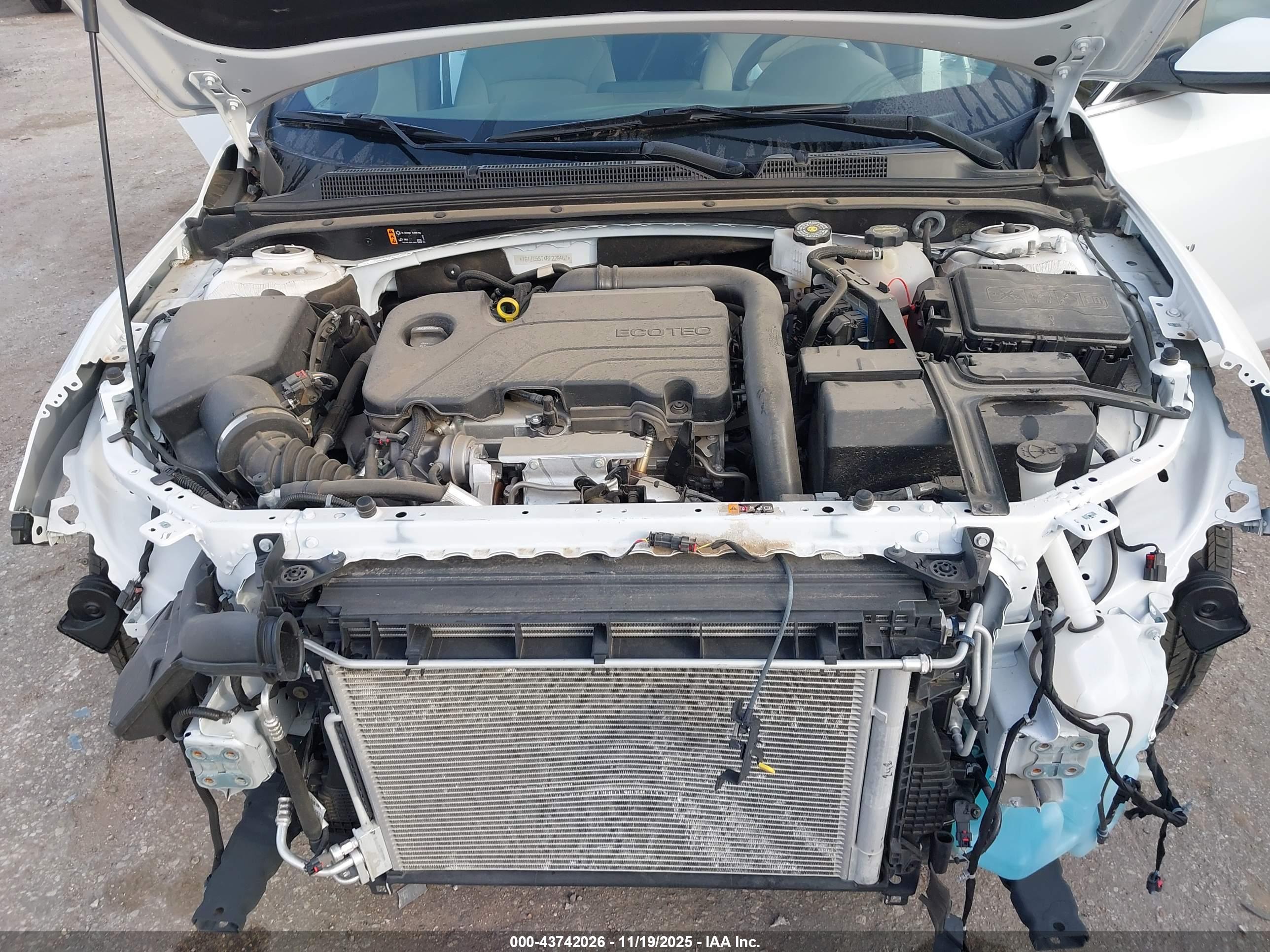 CHEVROLET MALIBU image 10