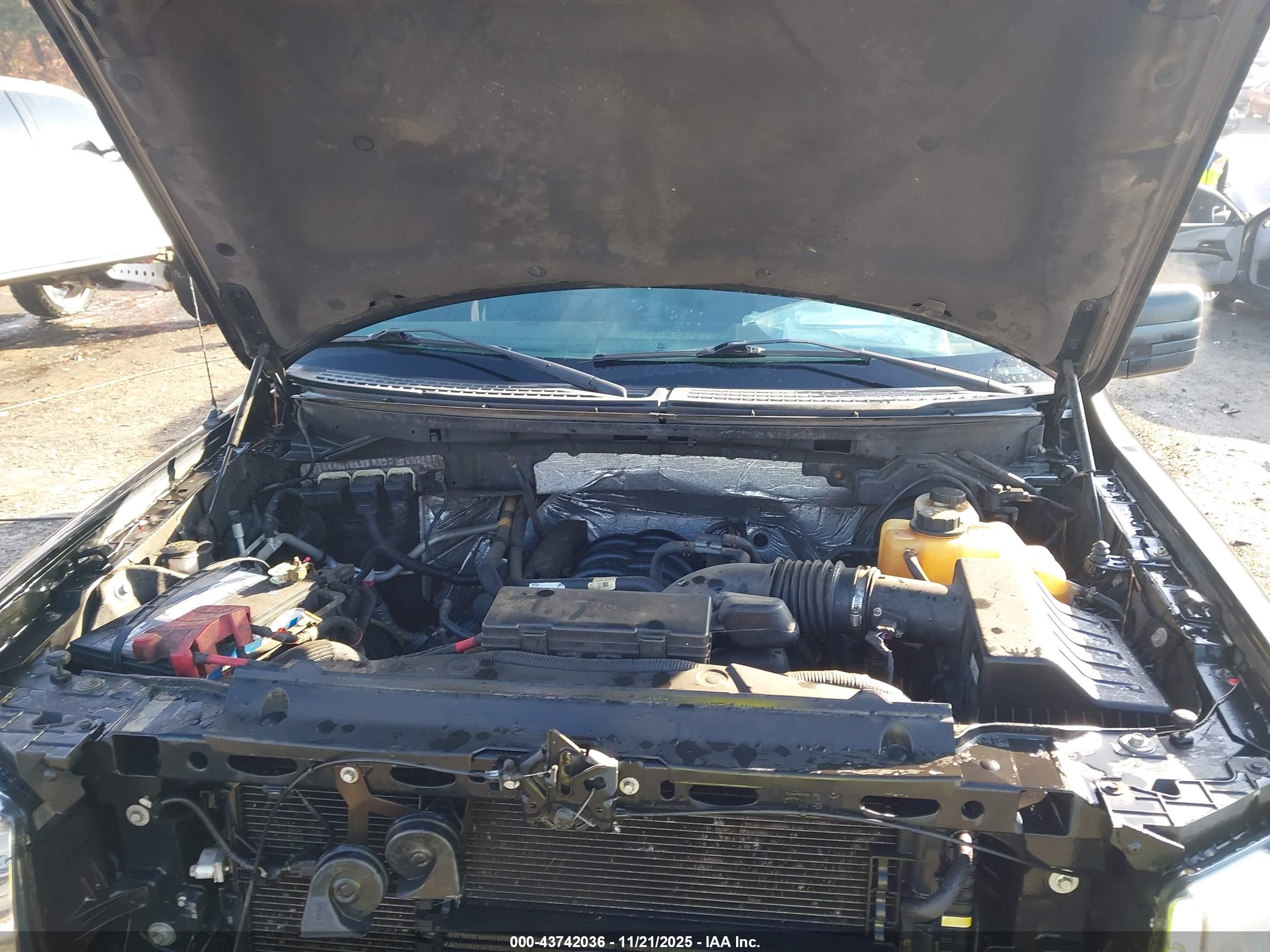FORD F-150 image 10