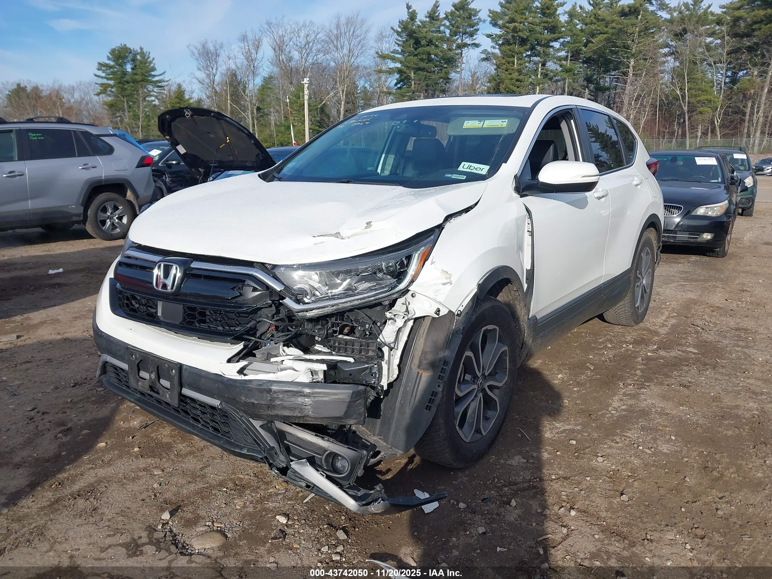 HONDA CR-V image 6