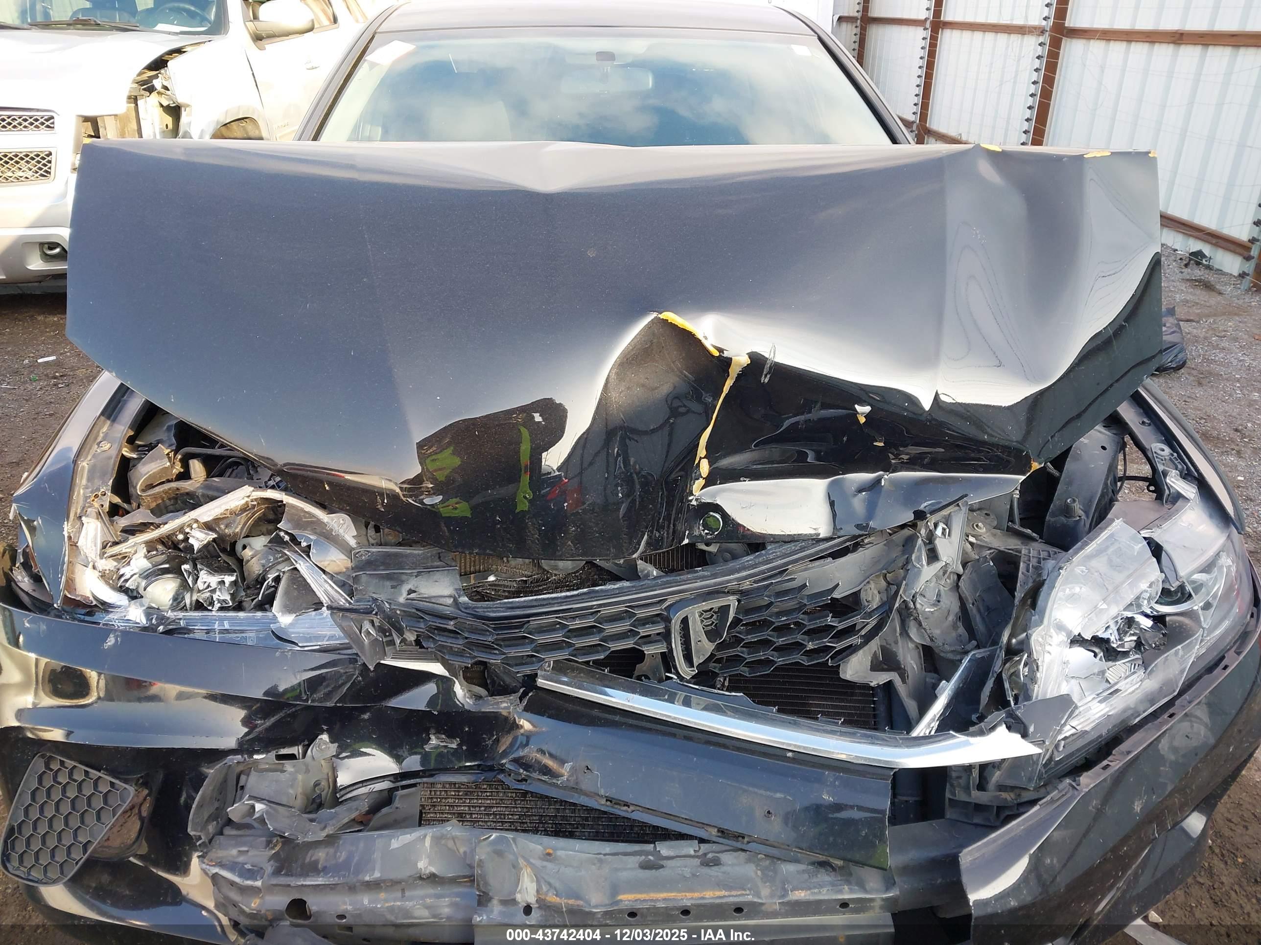 HONDA ACCORD image 10