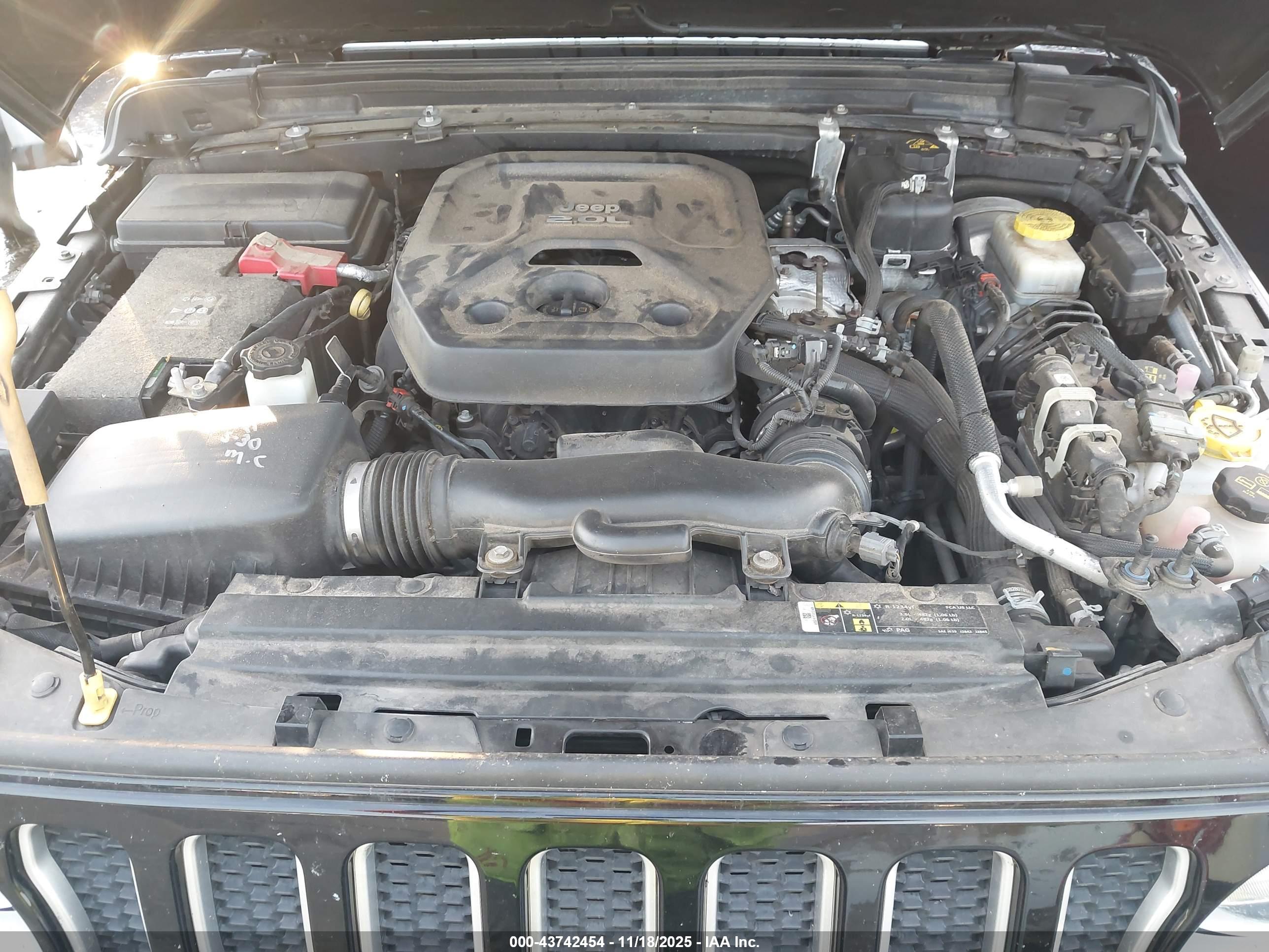 JEEP WRANGLER image 10