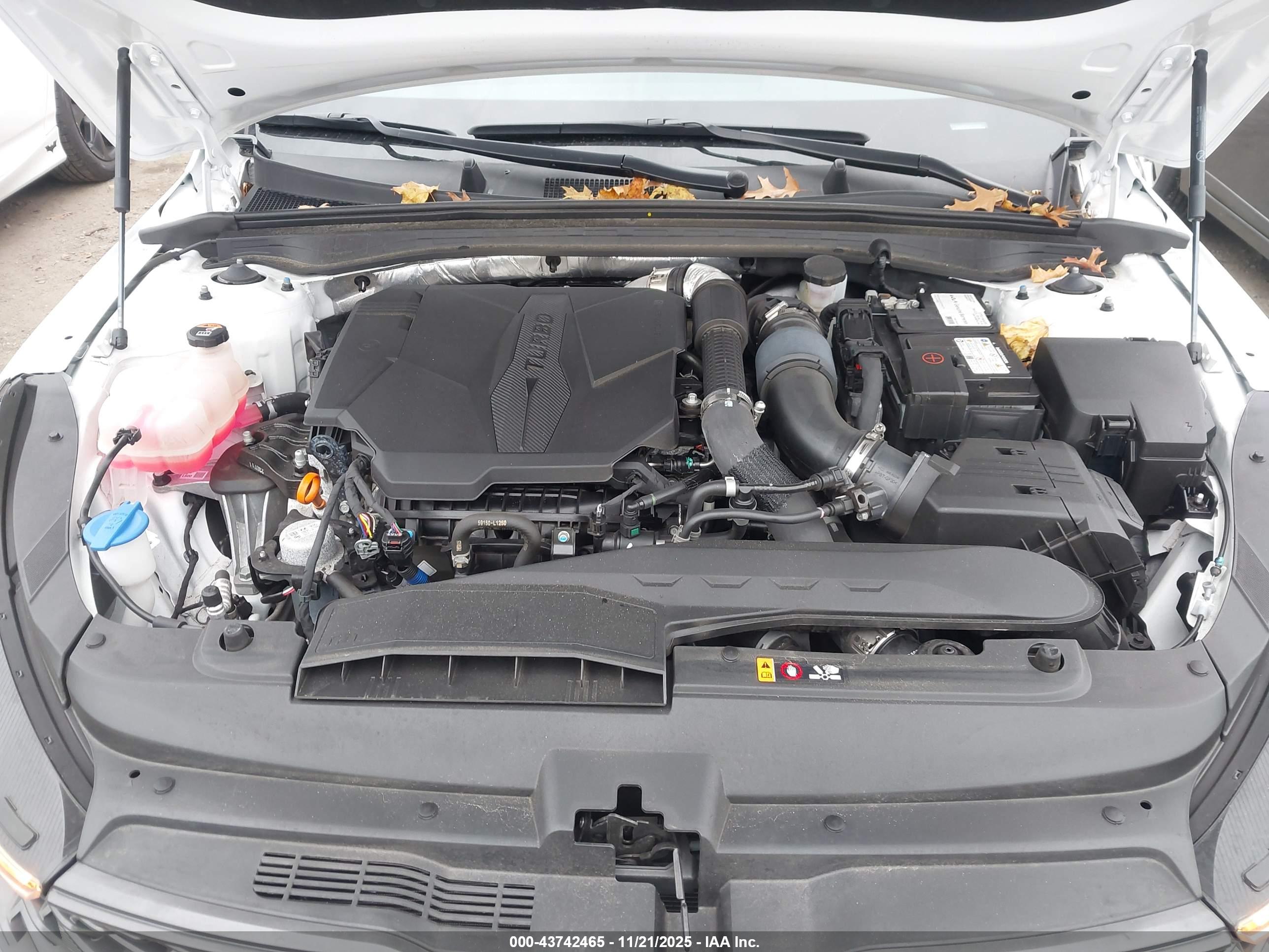 KIA K5 image 10