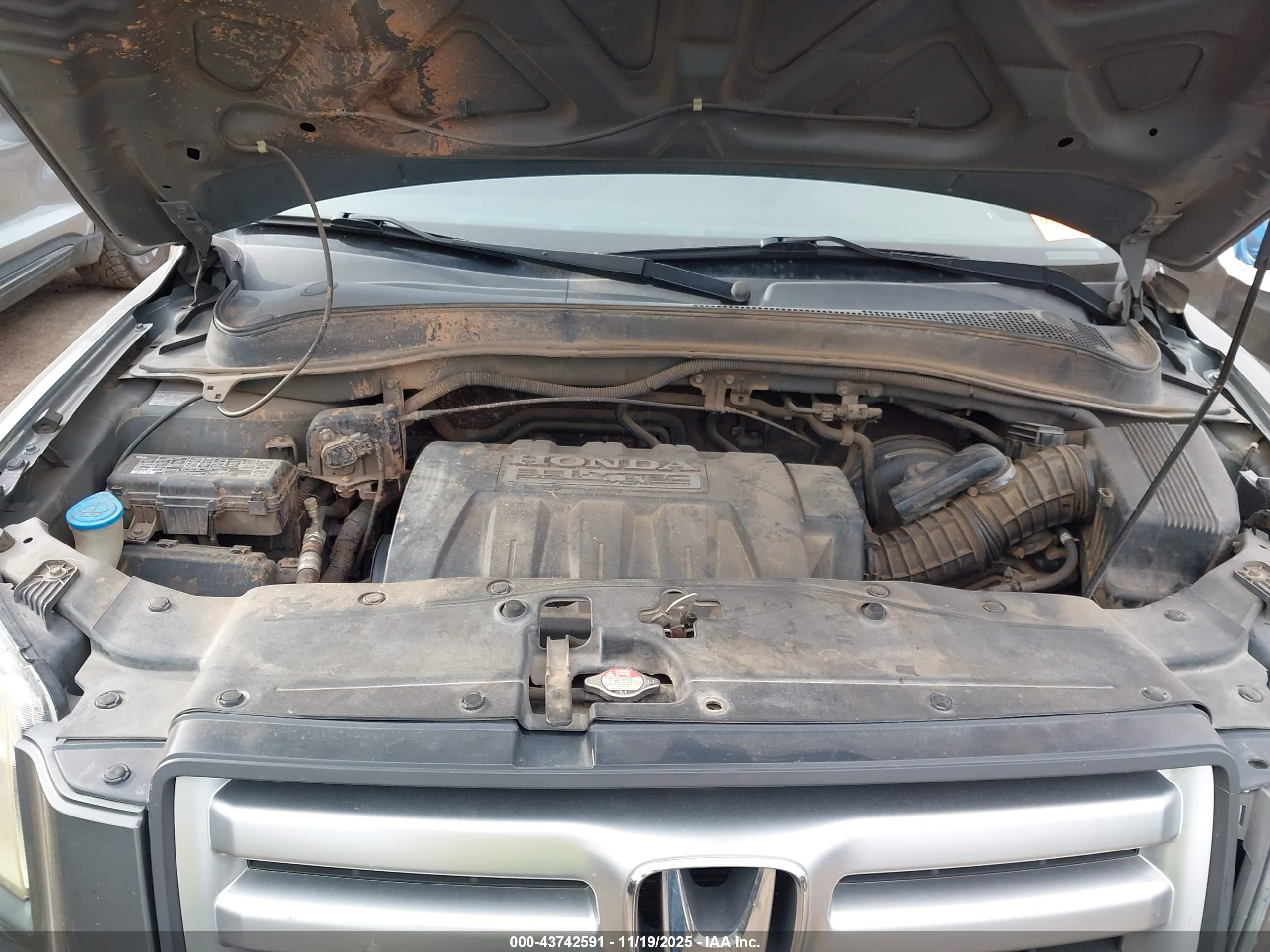 HONDA PILOT image 10