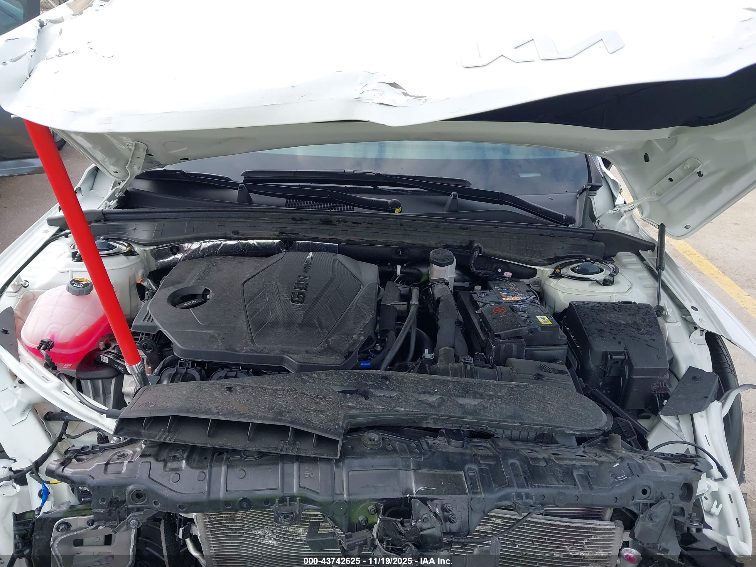 KIA K5 image 10