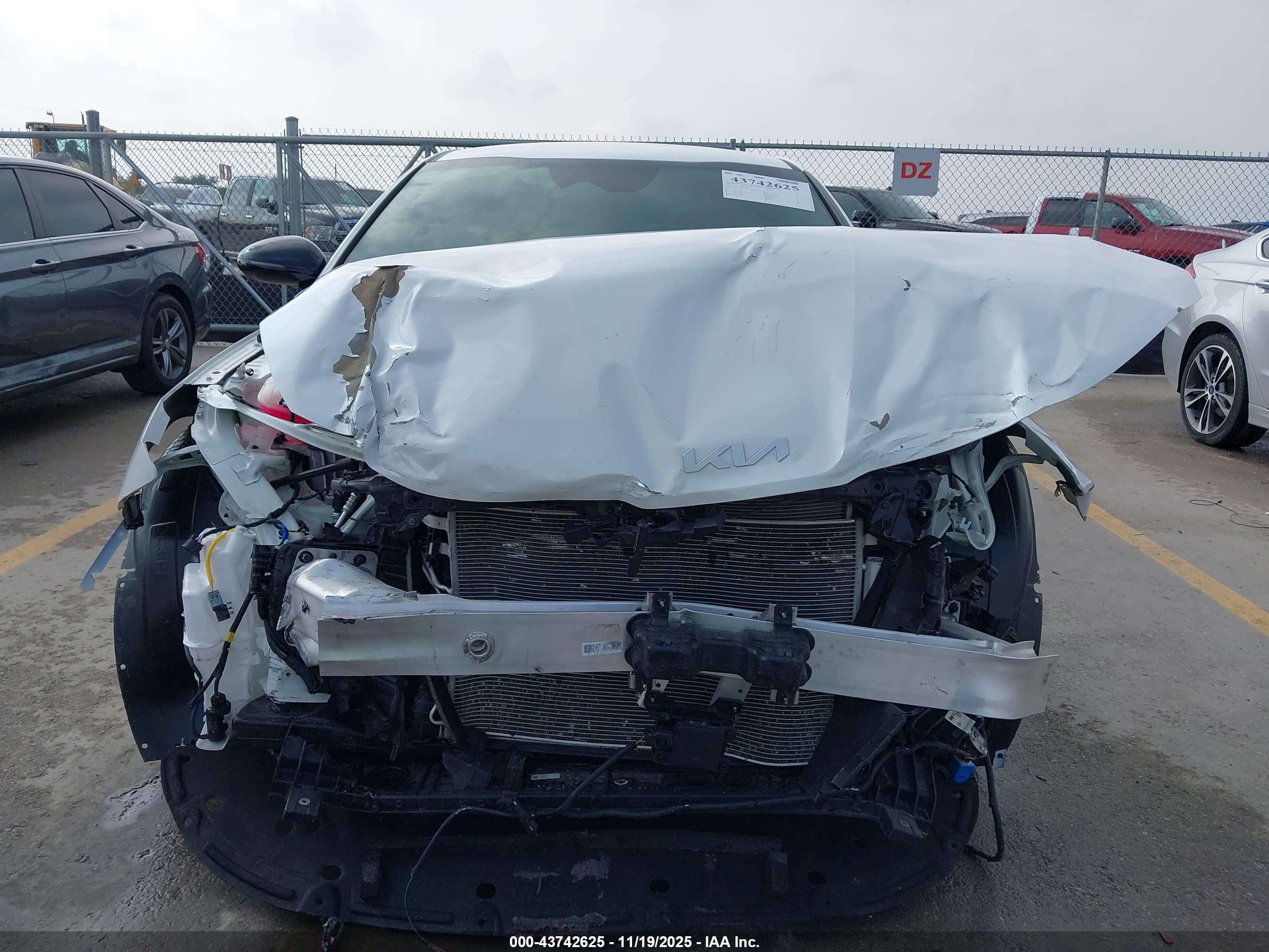 KIA K5 image 6