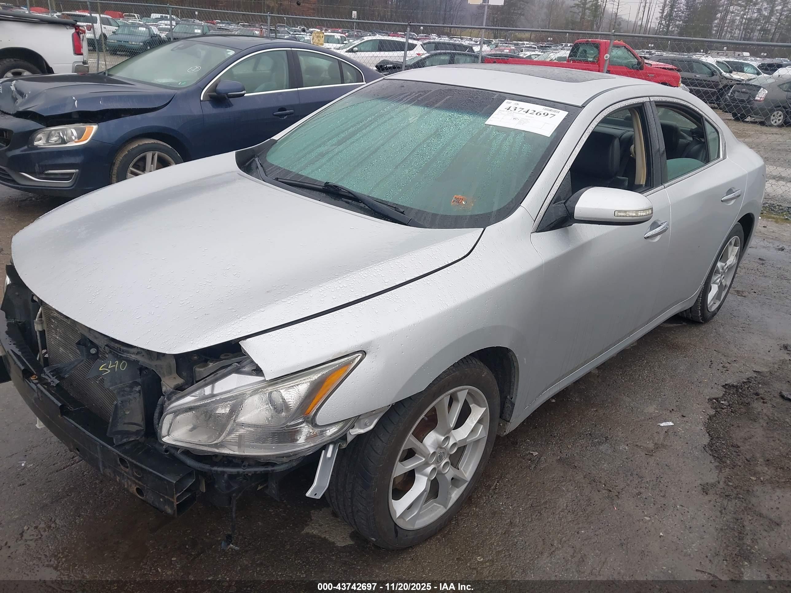 NISSAN MAXIMA image 2