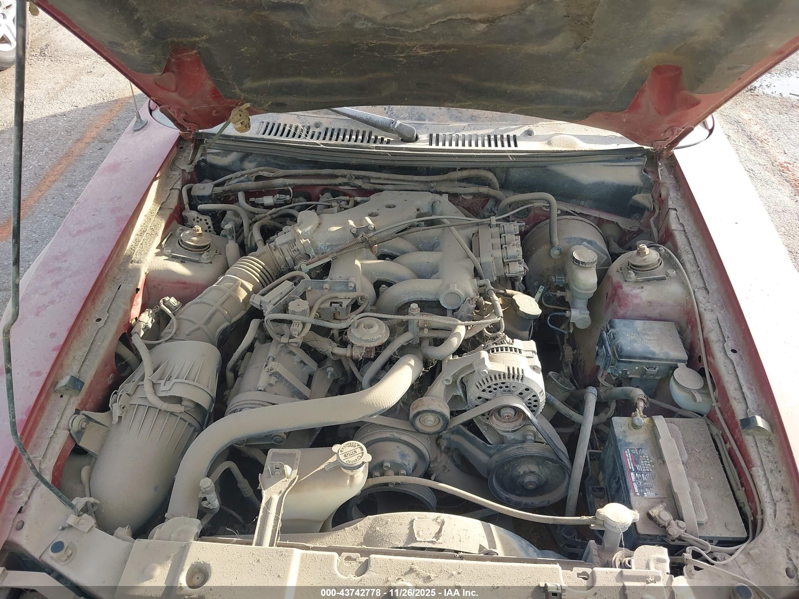 FORD MUSTANG image 10