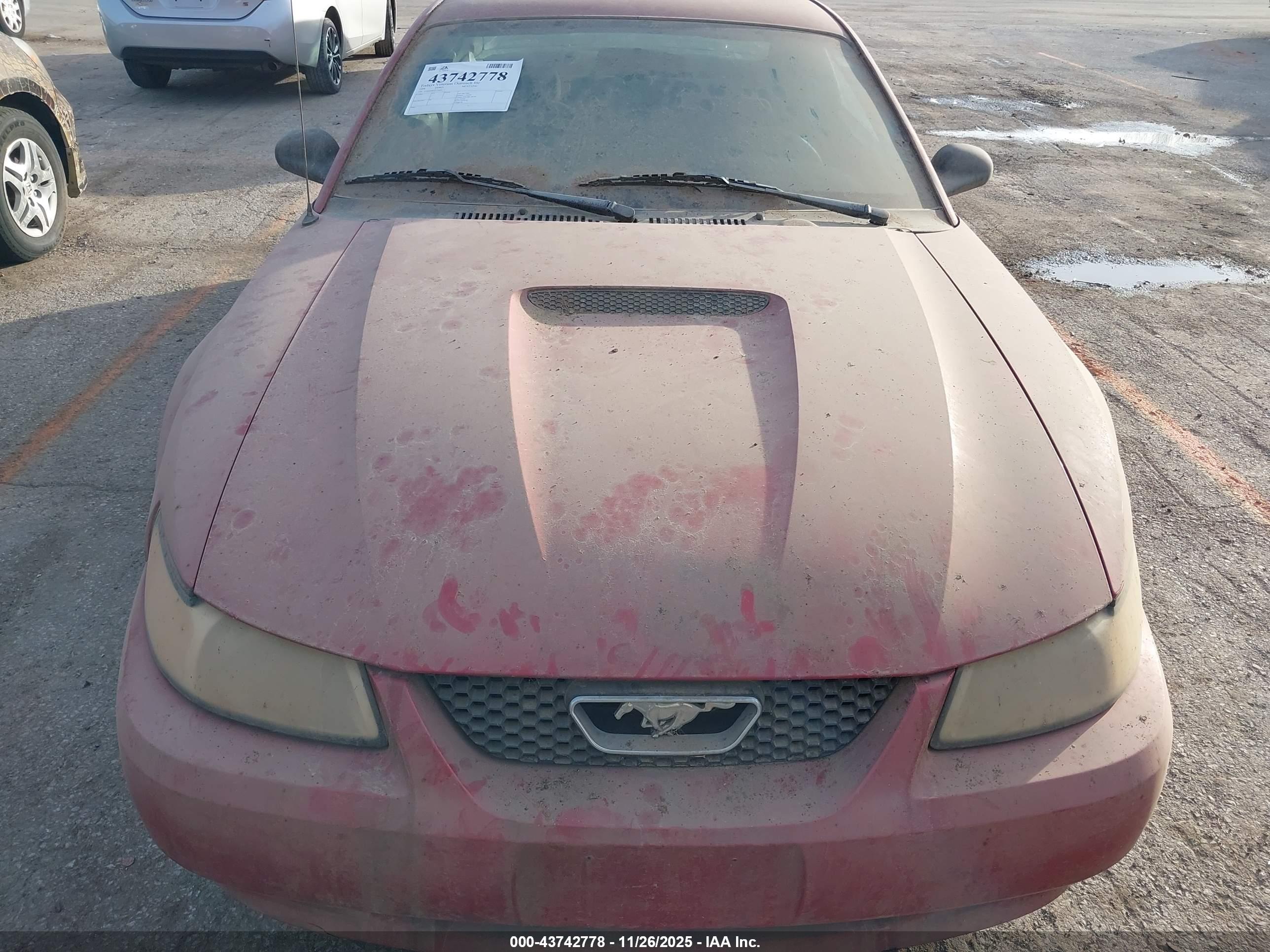 FORD MUSTANG image 6