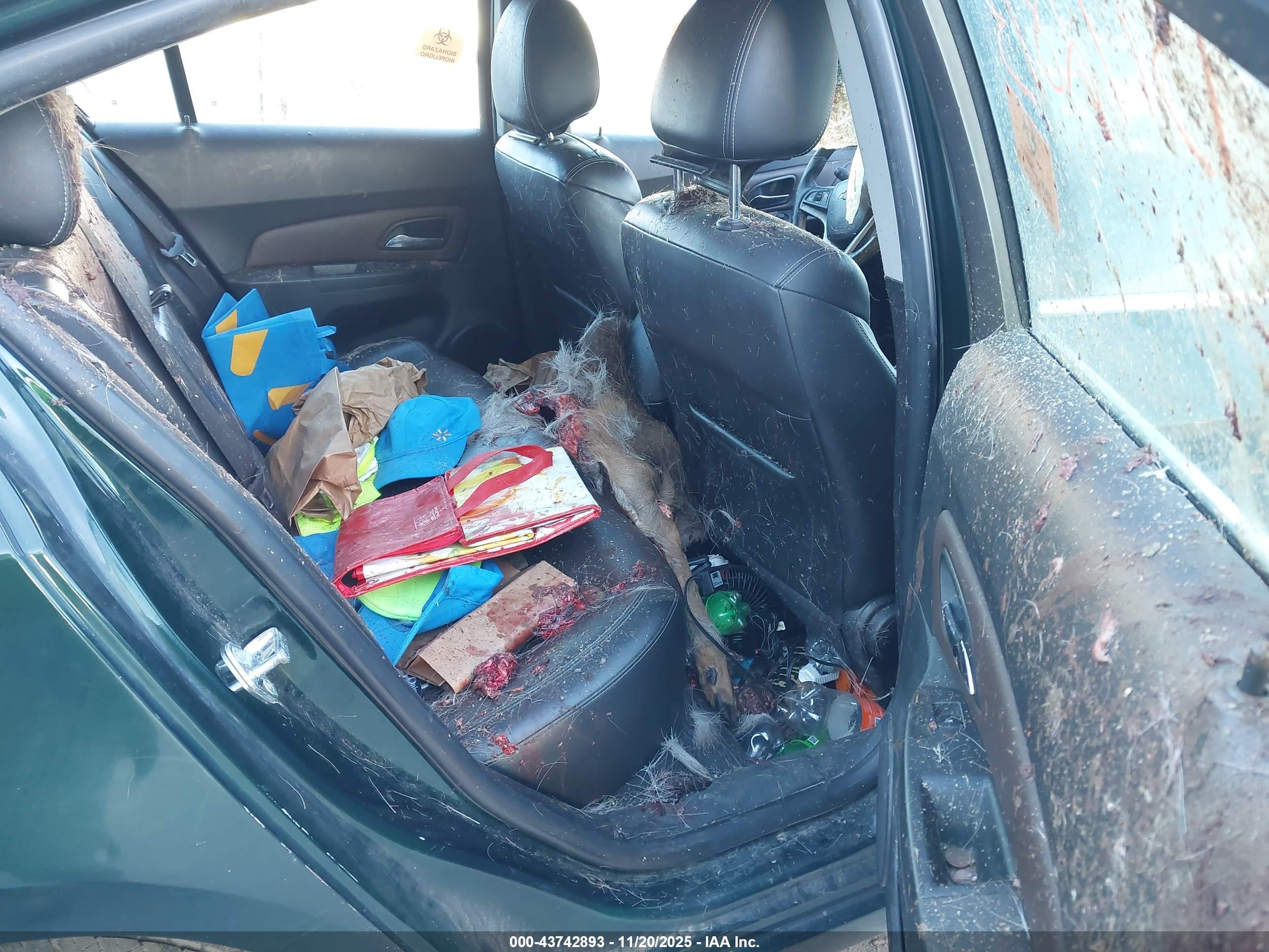 CHEVROLET CRUZE image 8