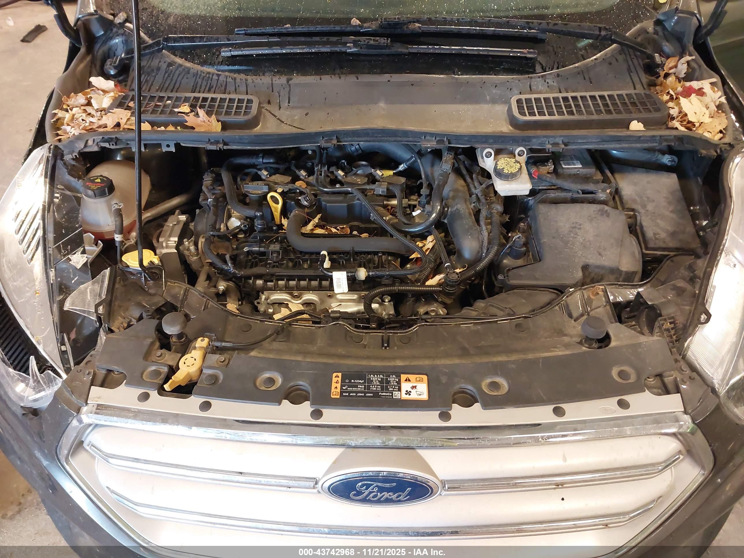 FORD ESCAPE image 10