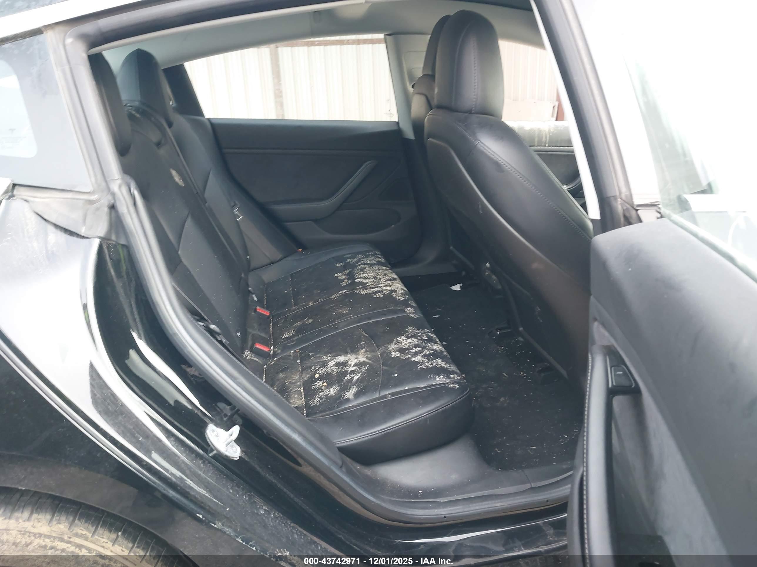 TESLA MODEL image 8