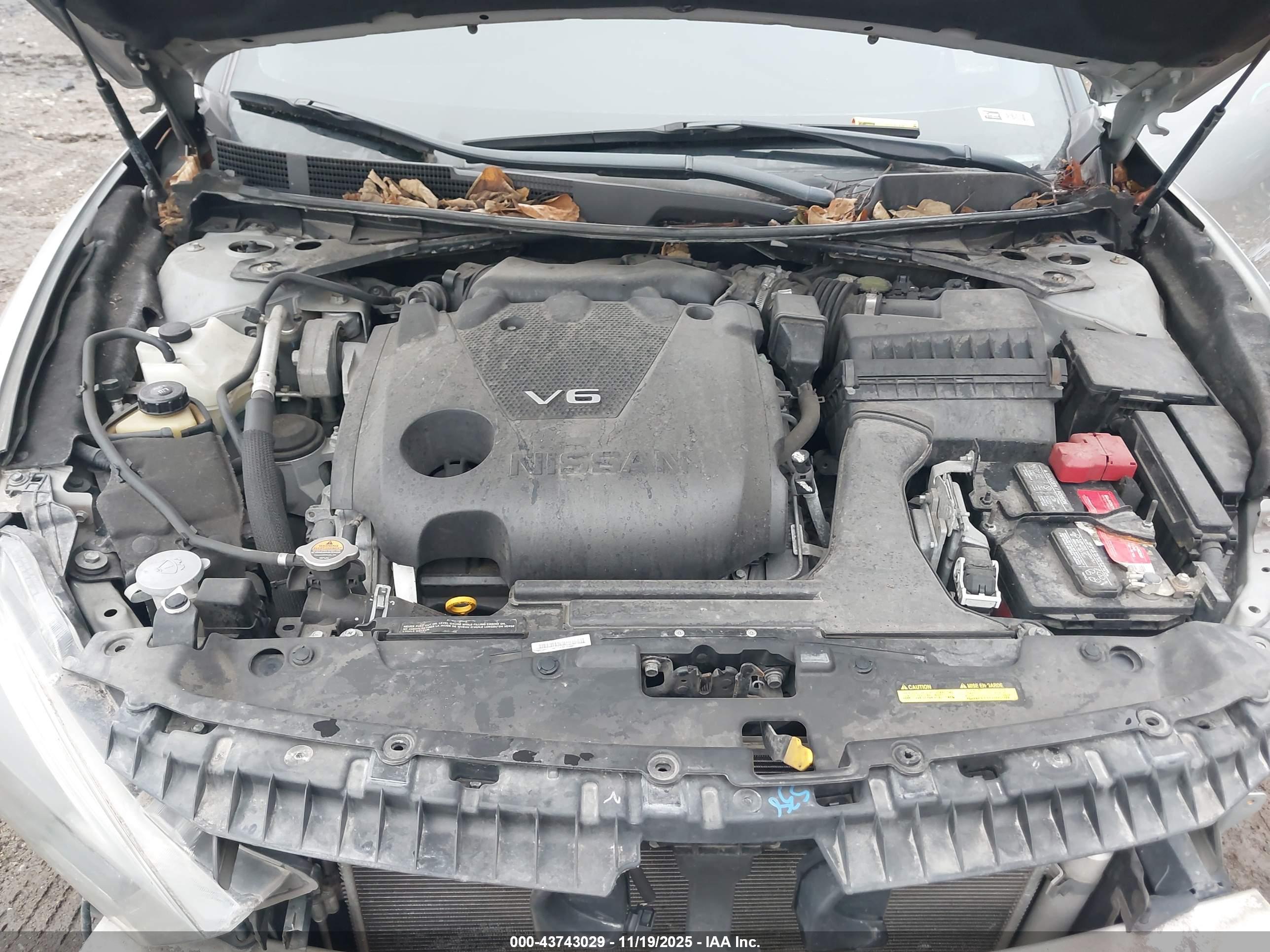 NISSAN MAXIMA image 10