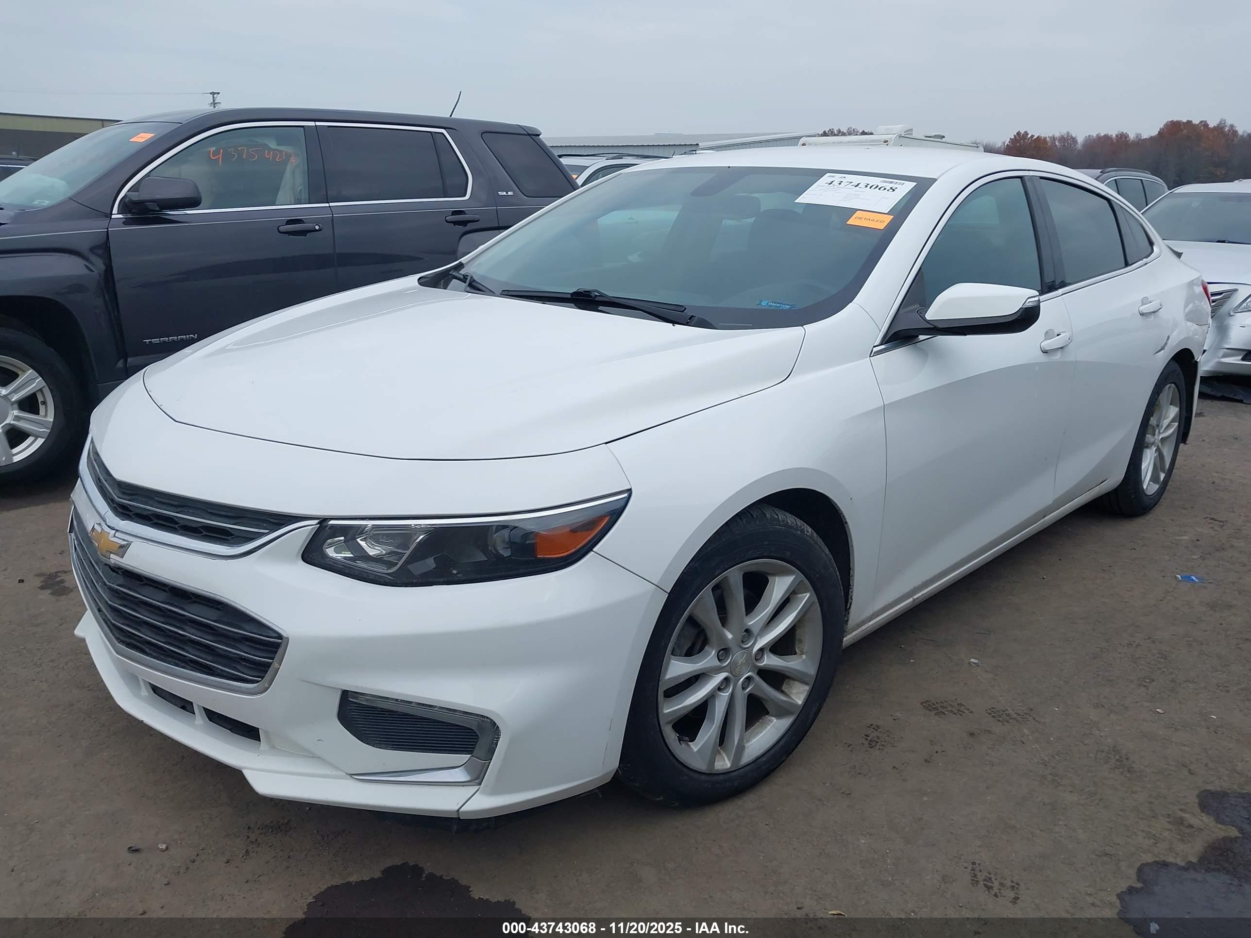 CHEVROLET MALIBU image 2