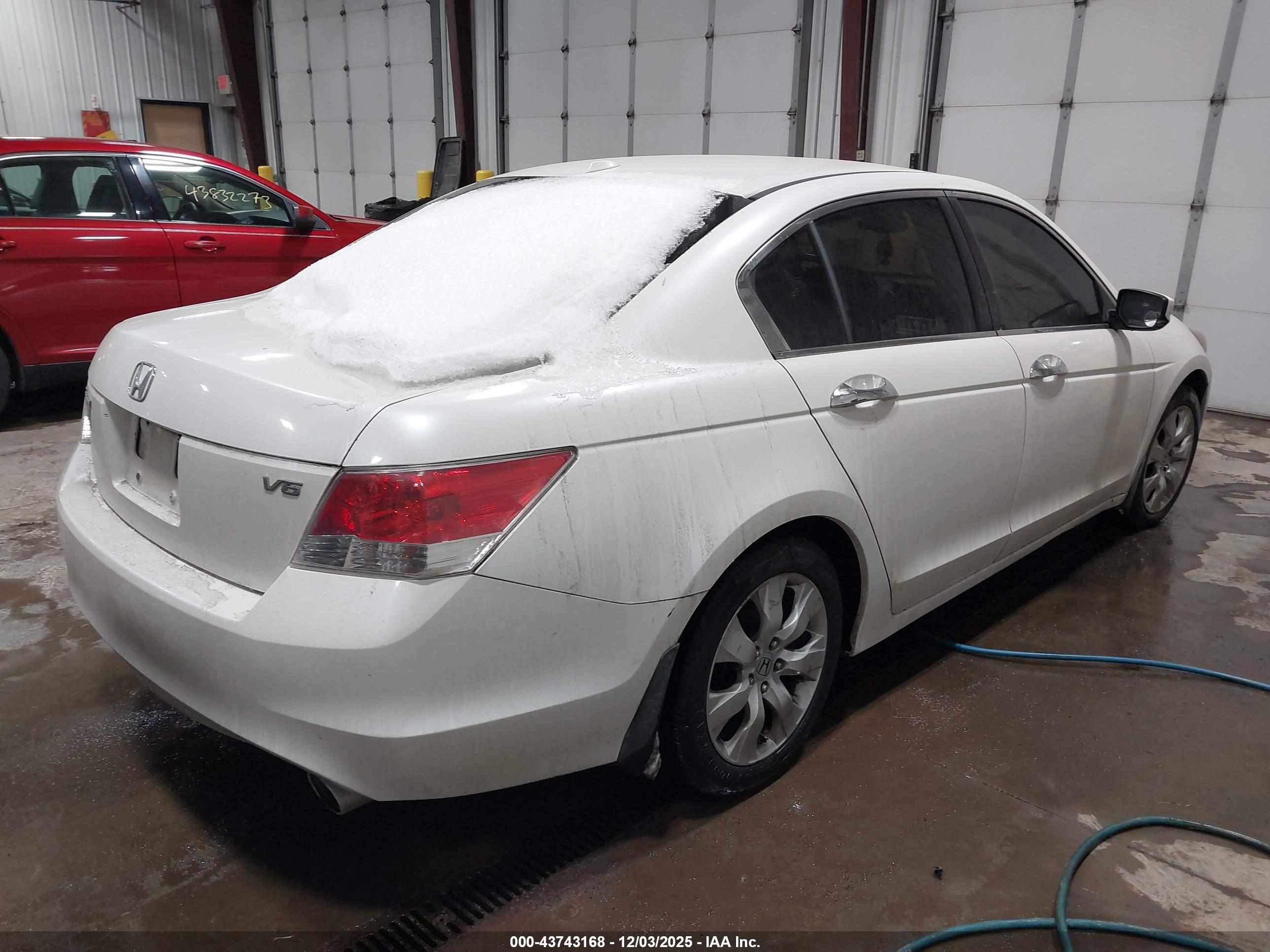 HONDA ACCORD image 4