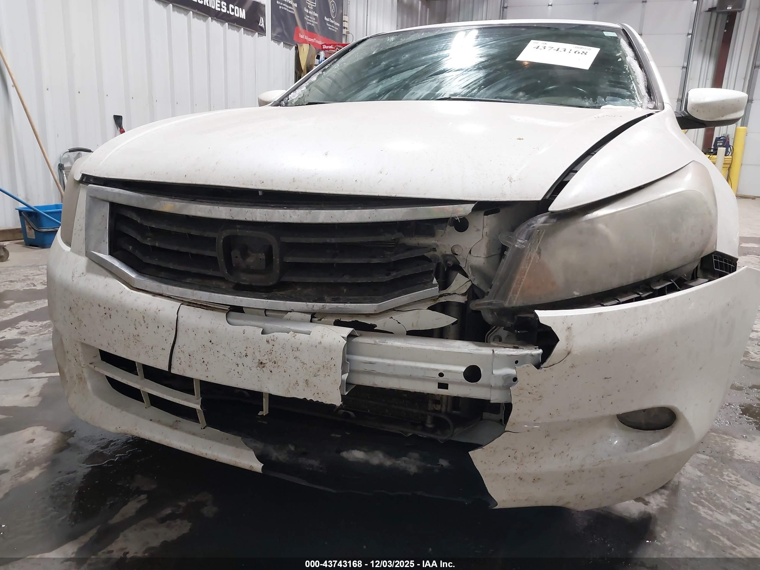 HONDA ACCORD image 6