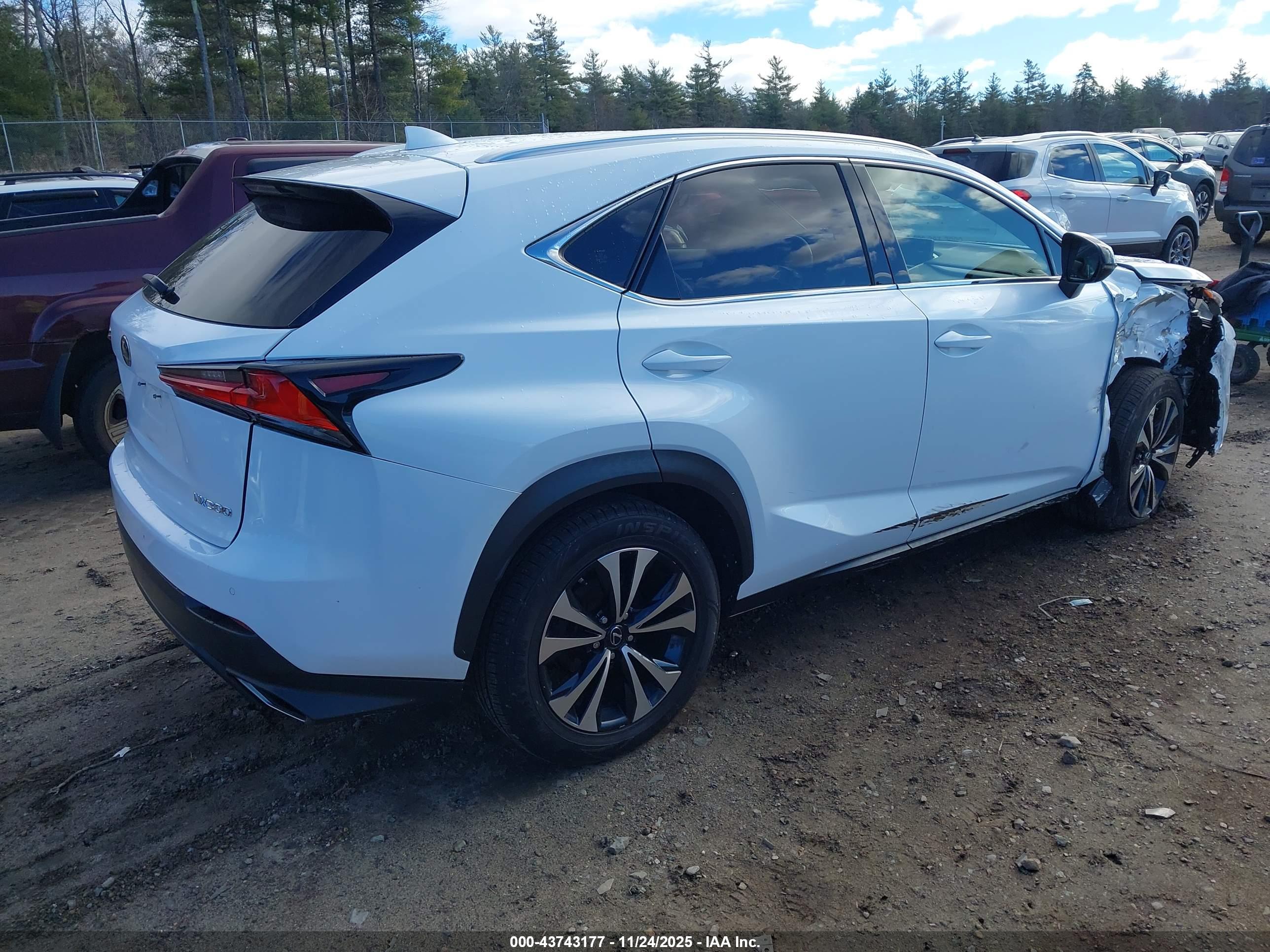 LEXUS NX image 4