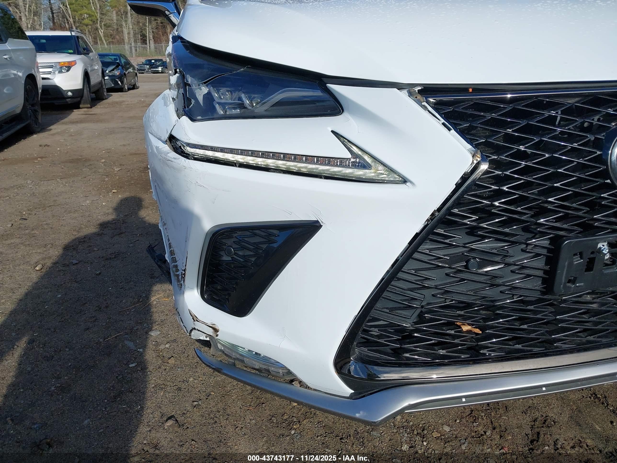 LEXUS NX image 6