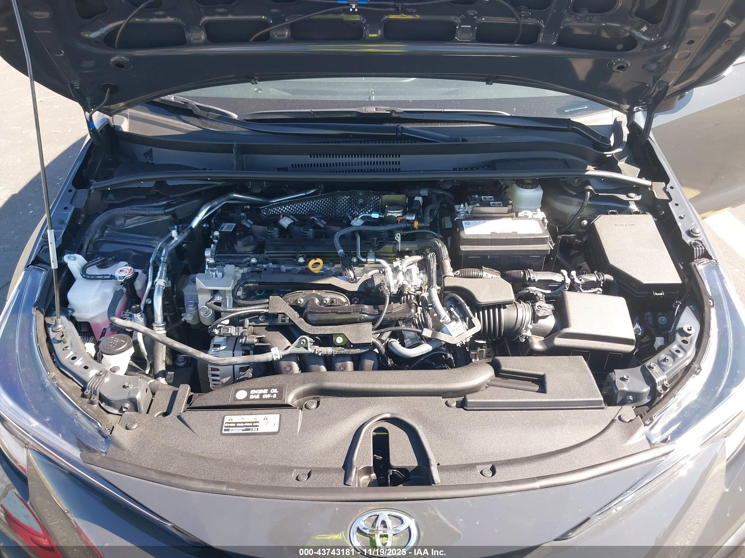 TOYOTA COROLLA image 10