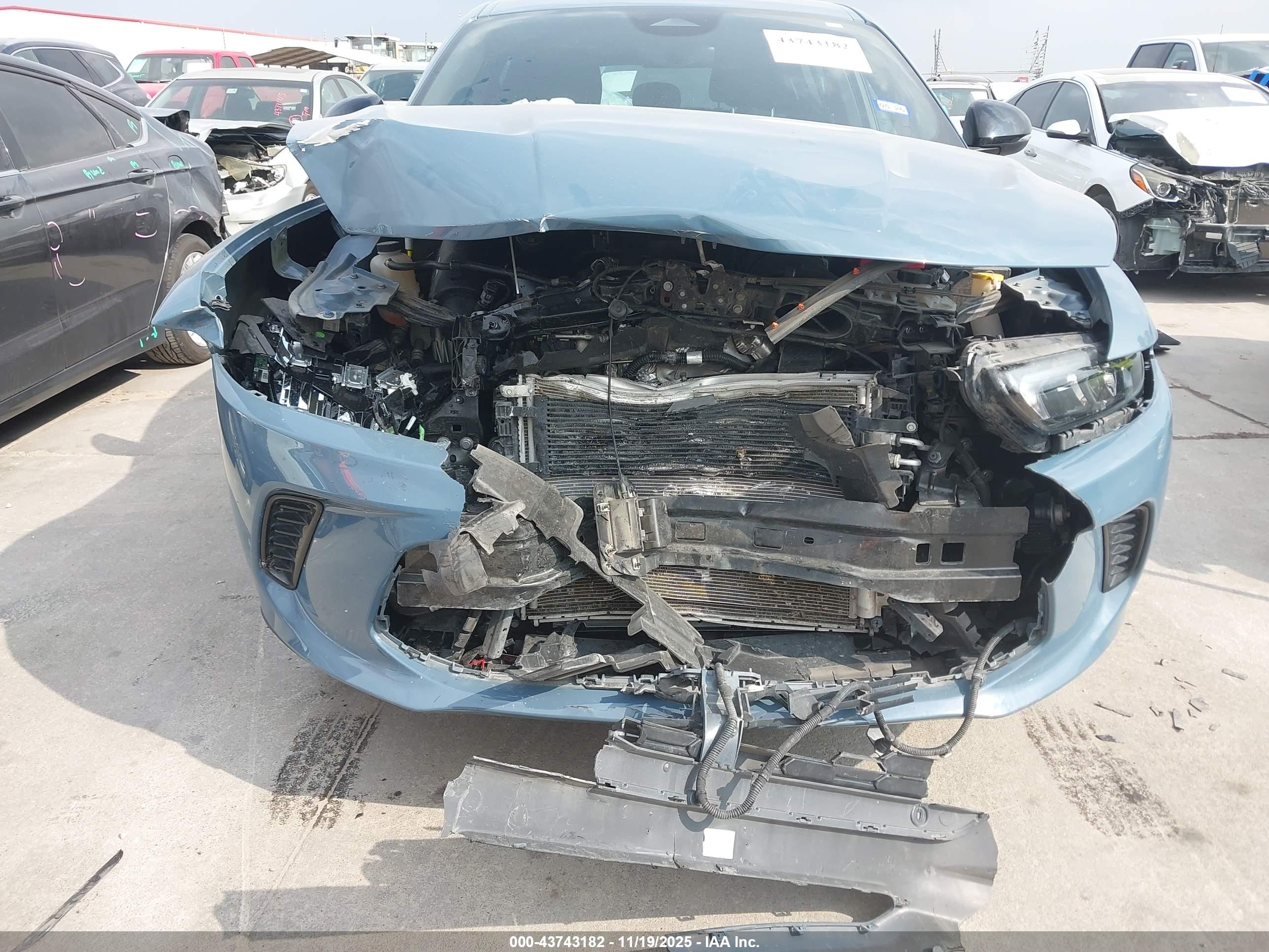DODGE HORNET image 6