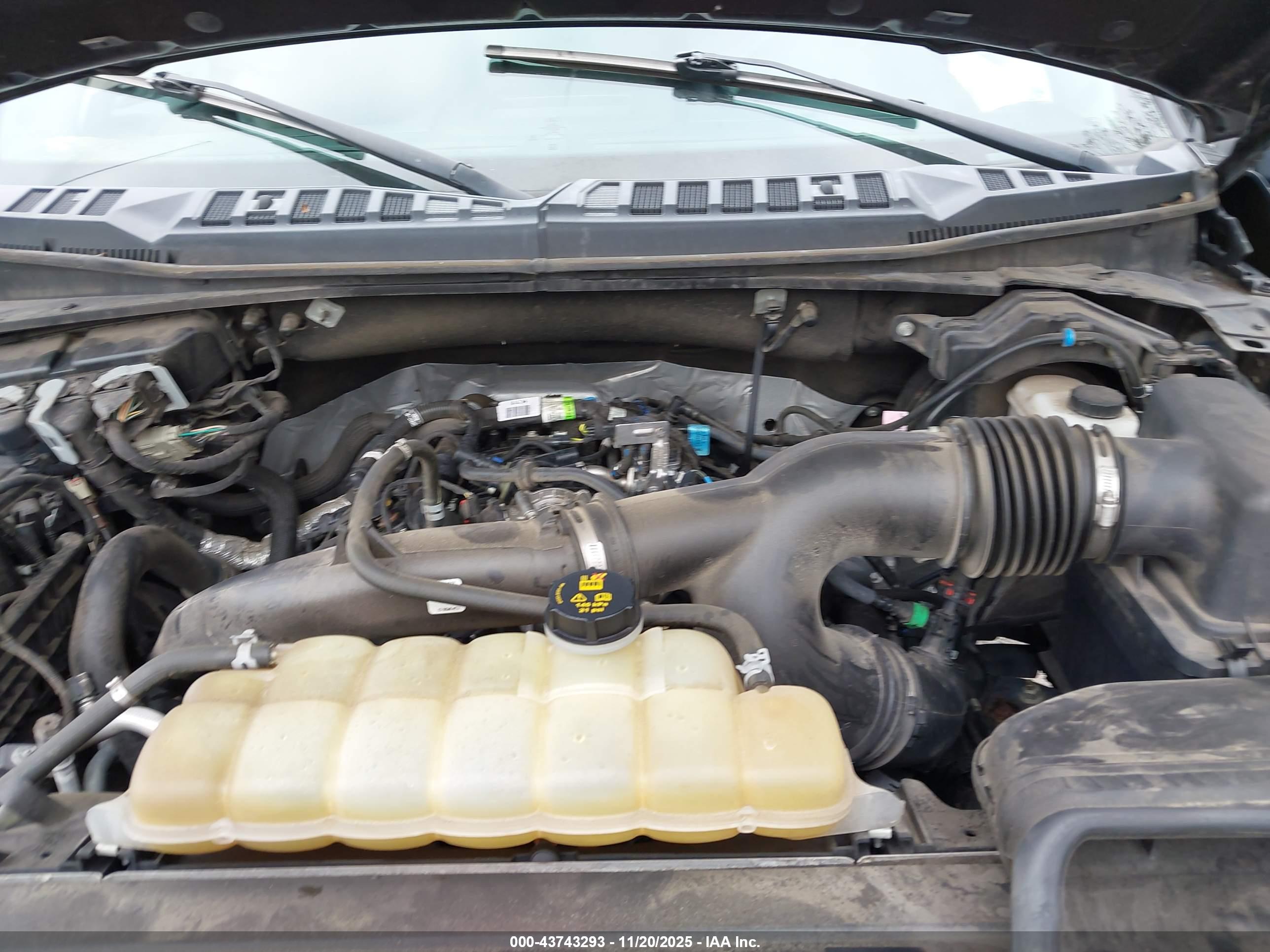 FORD F-150 image 10