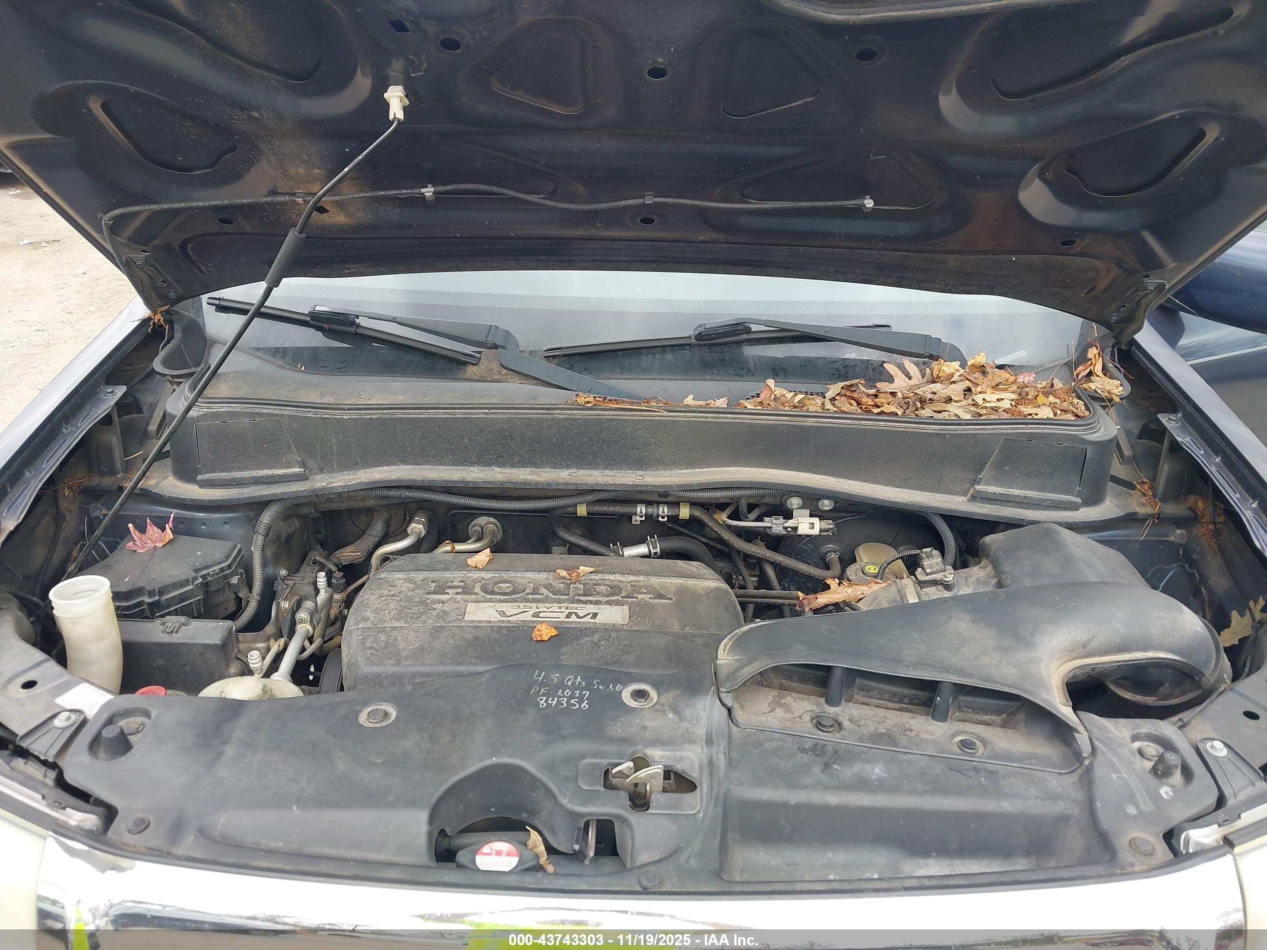 HONDA PILOT image 10