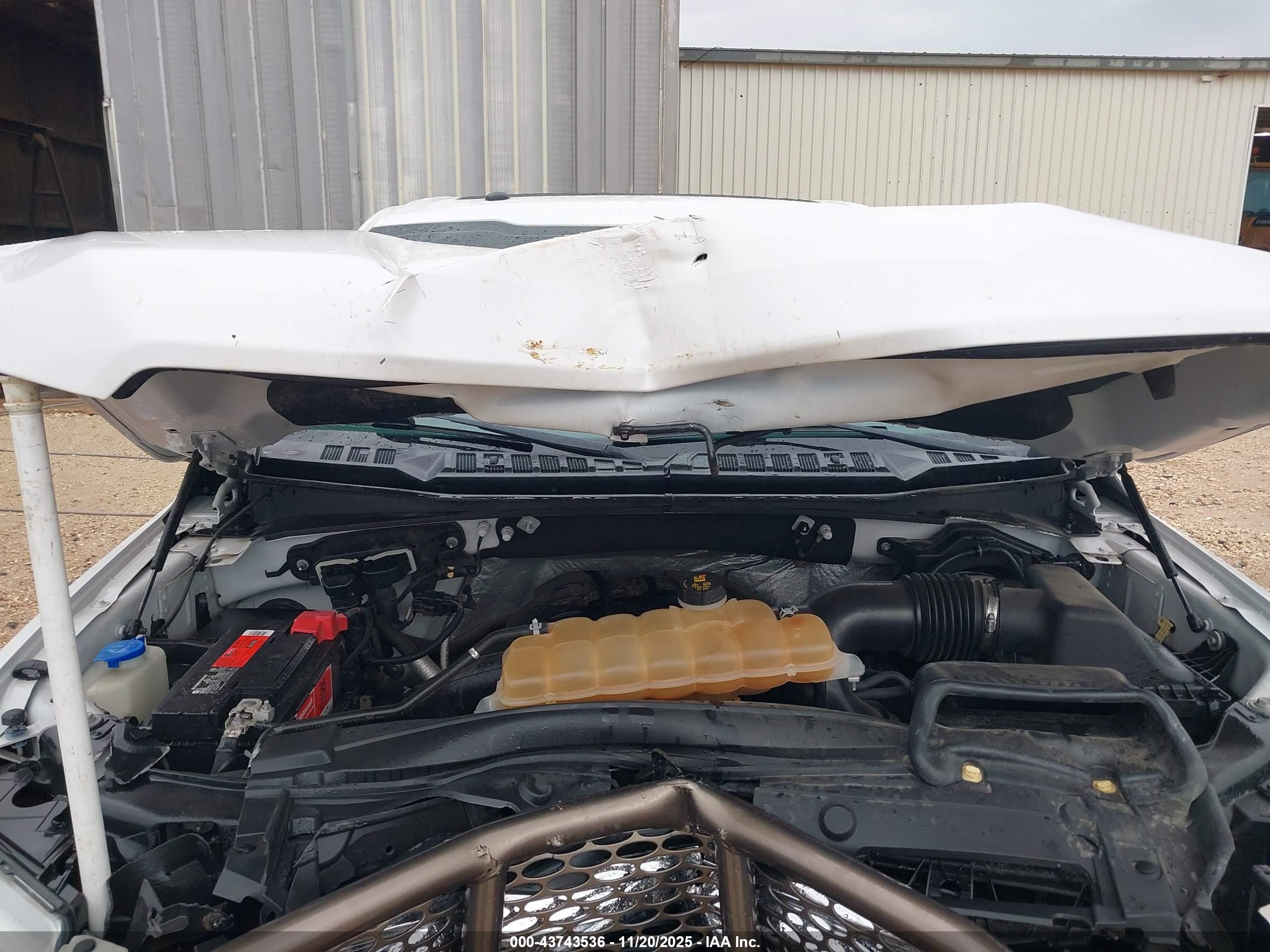 FORD F-150 image 10