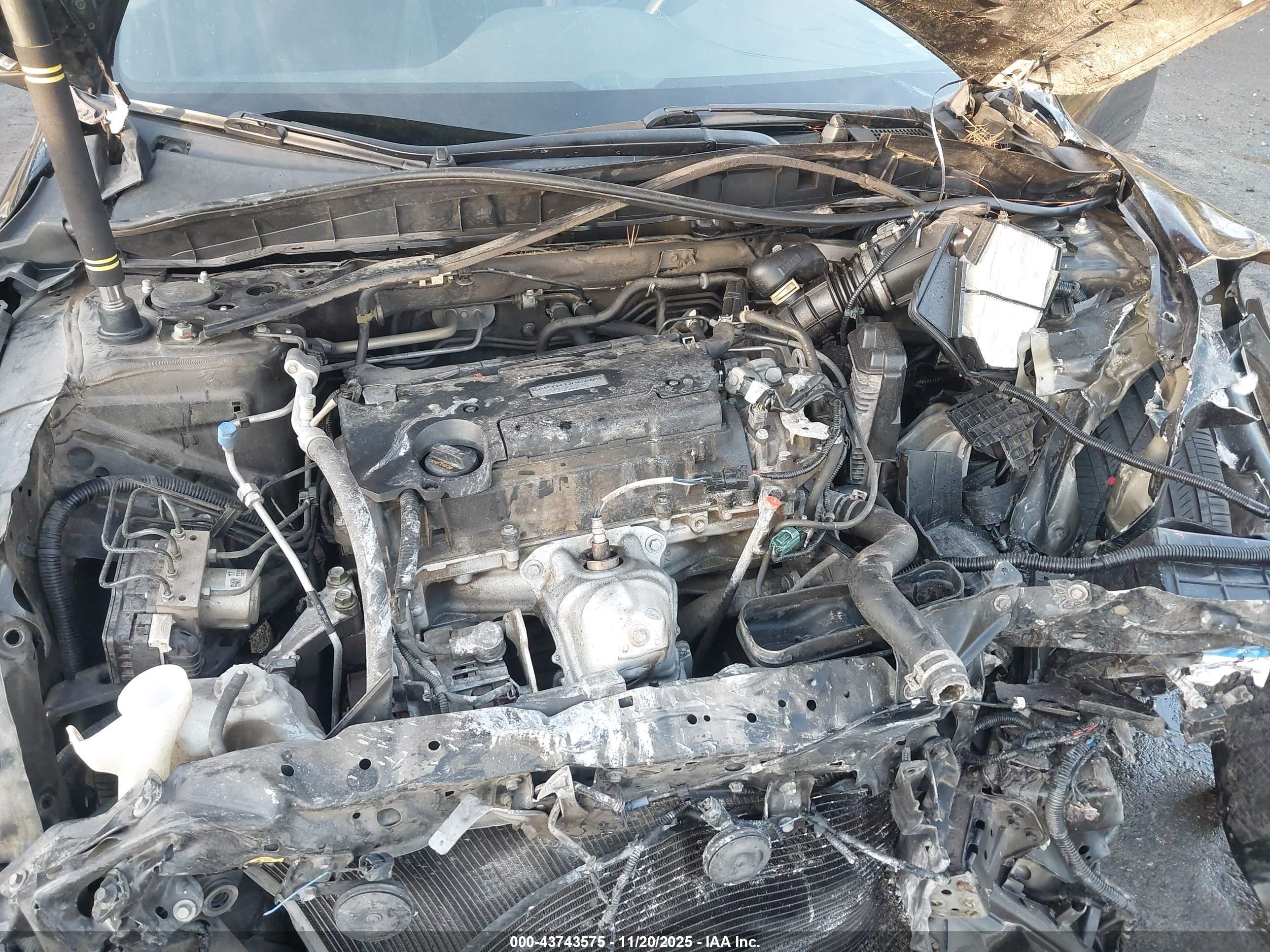 HONDA ACCORD image 10