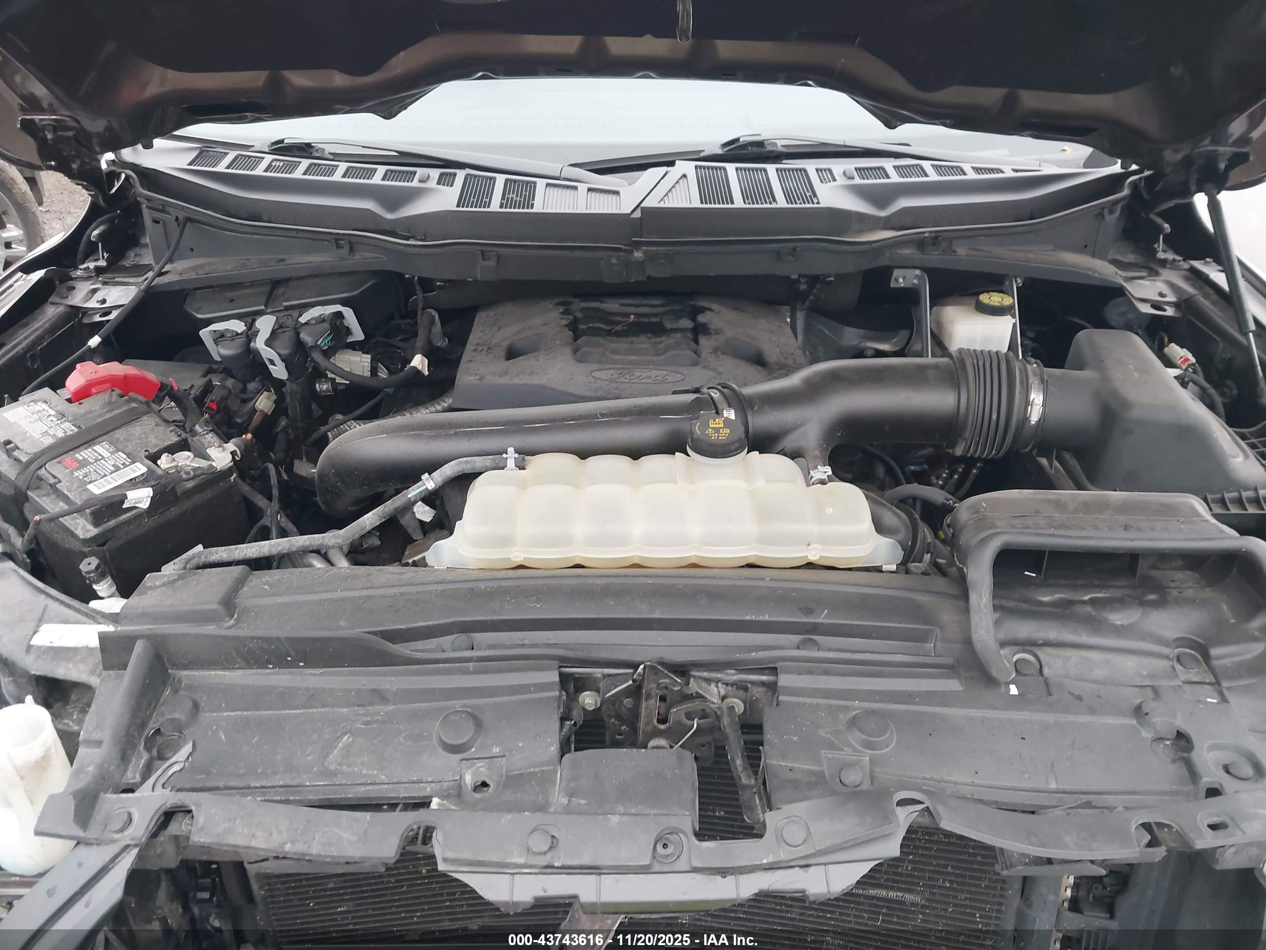 FORD F-150 image 10
