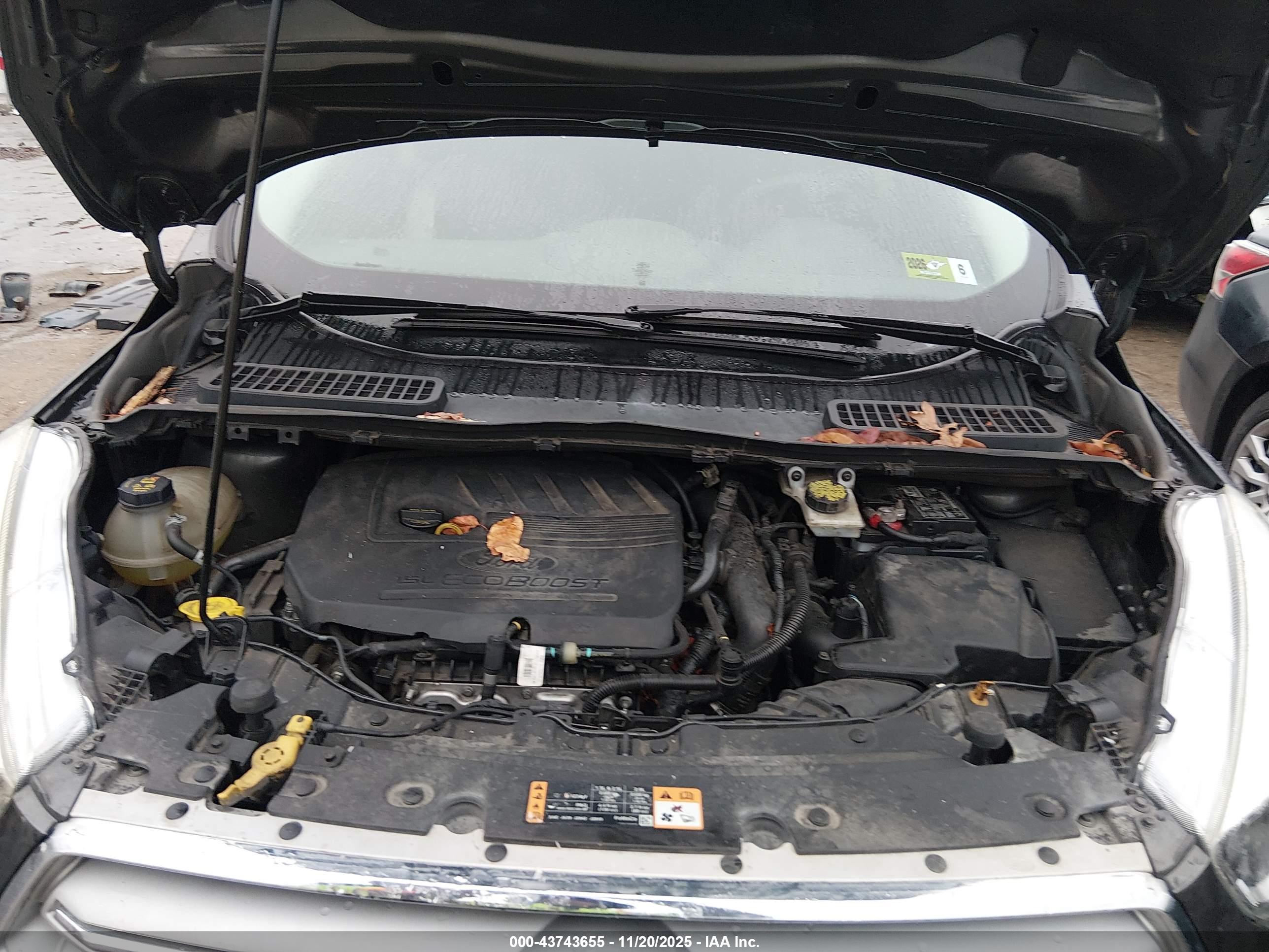 FORD ESCAPE image 10