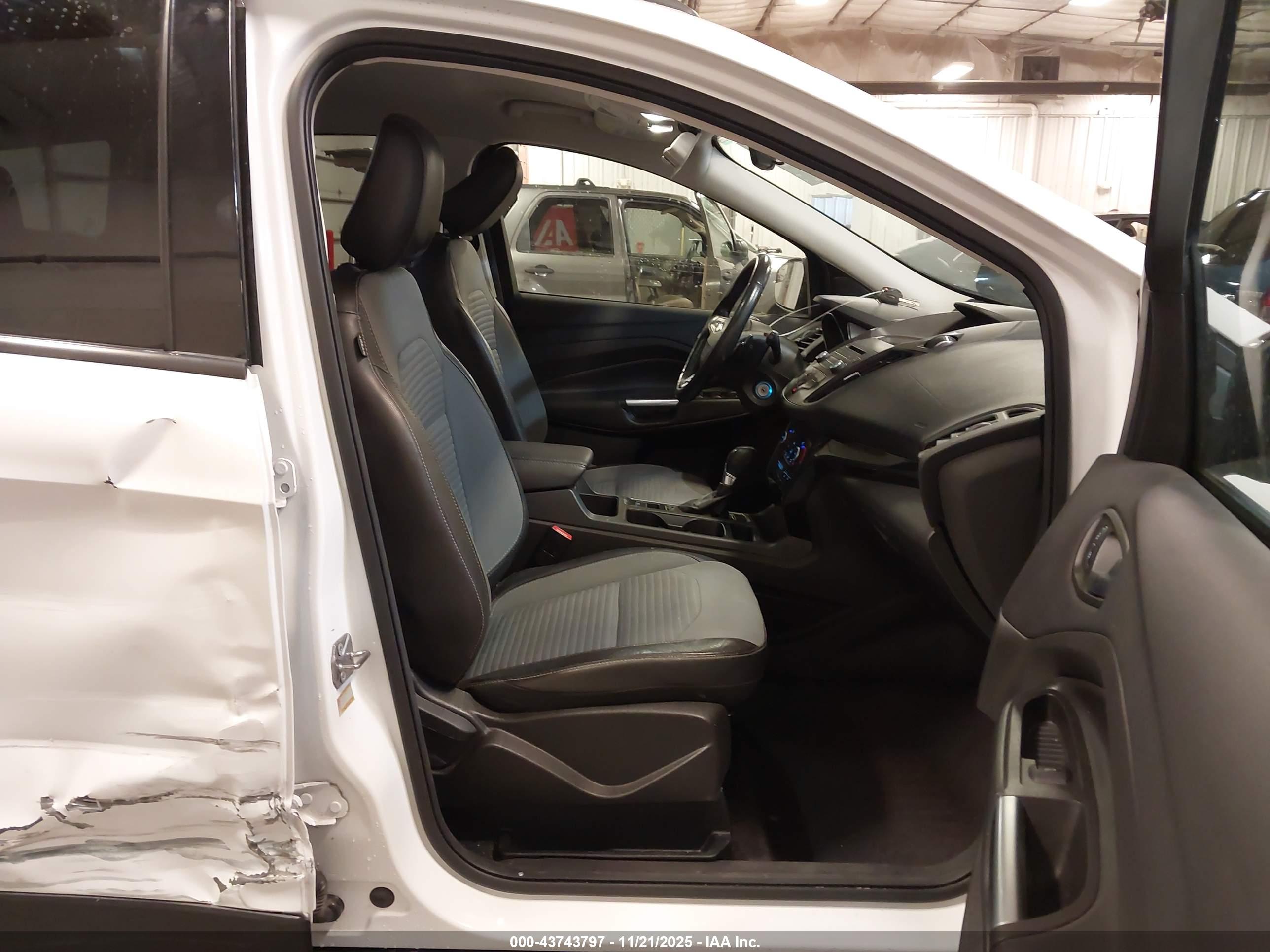 FORD ESCAPE image 5