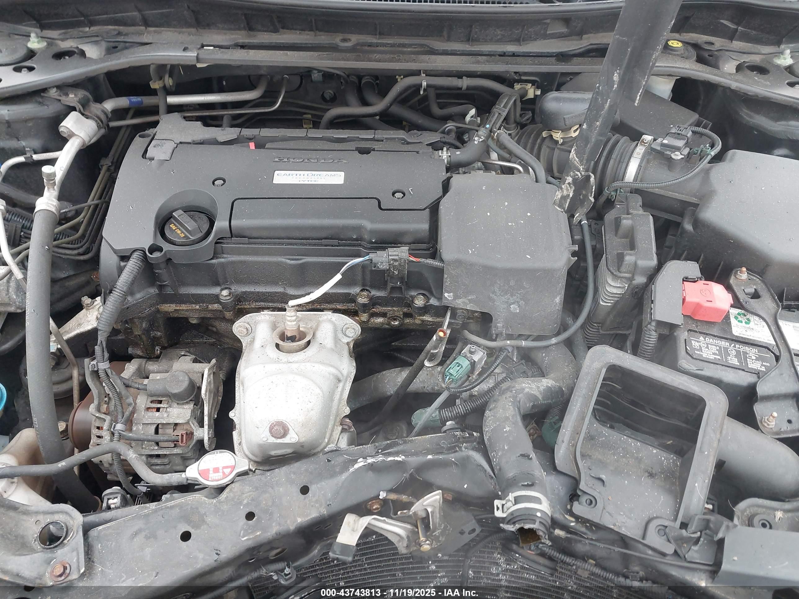 HONDA ACCORD image 10