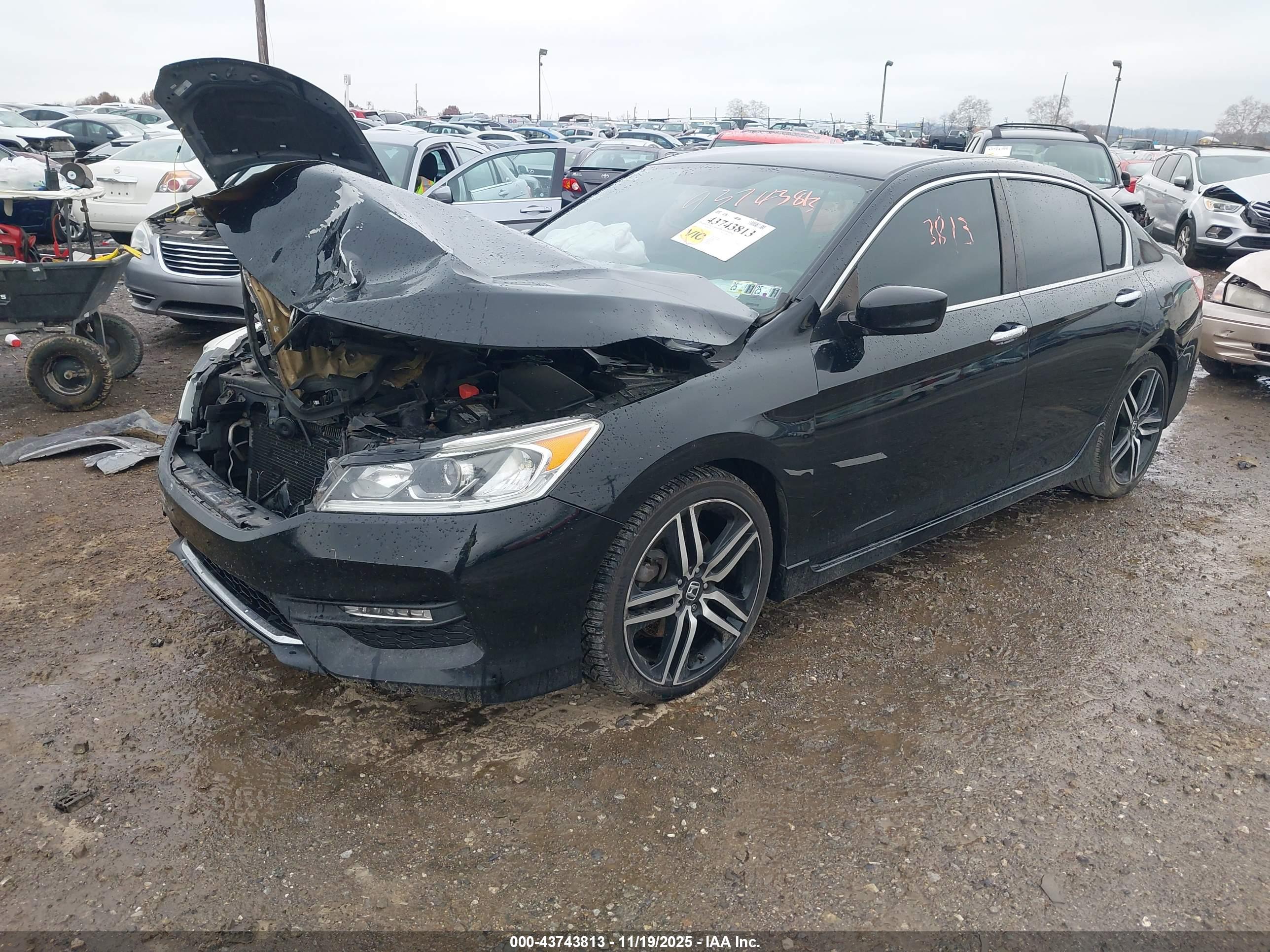 HONDA ACCORD image 2