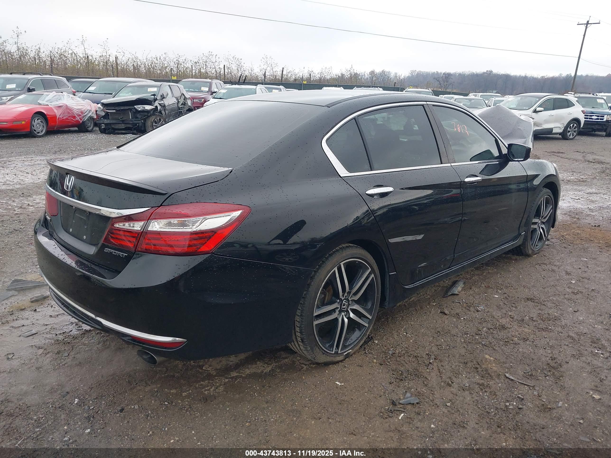 HONDA ACCORD image 4
