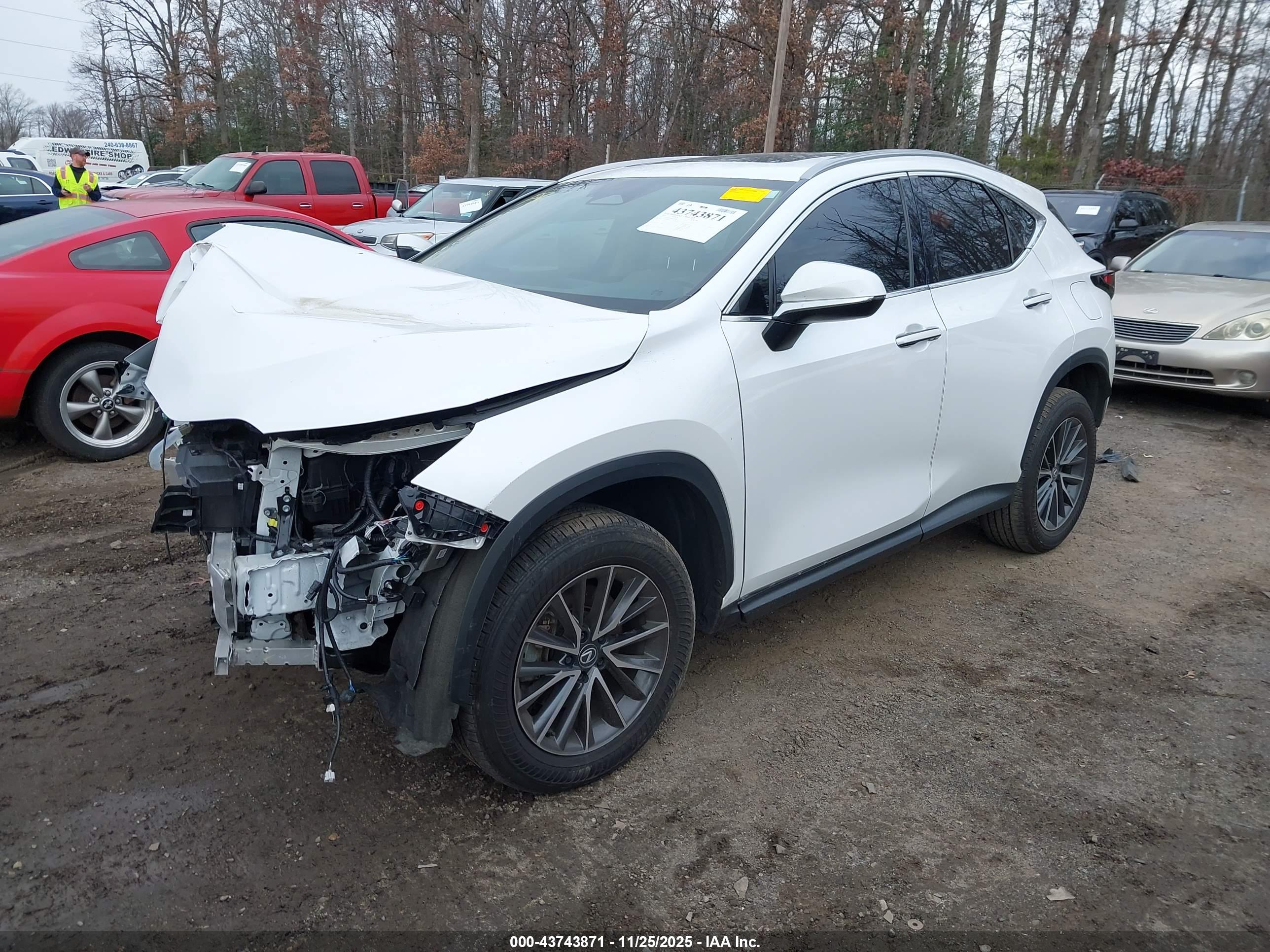 LEXUS NX image 2