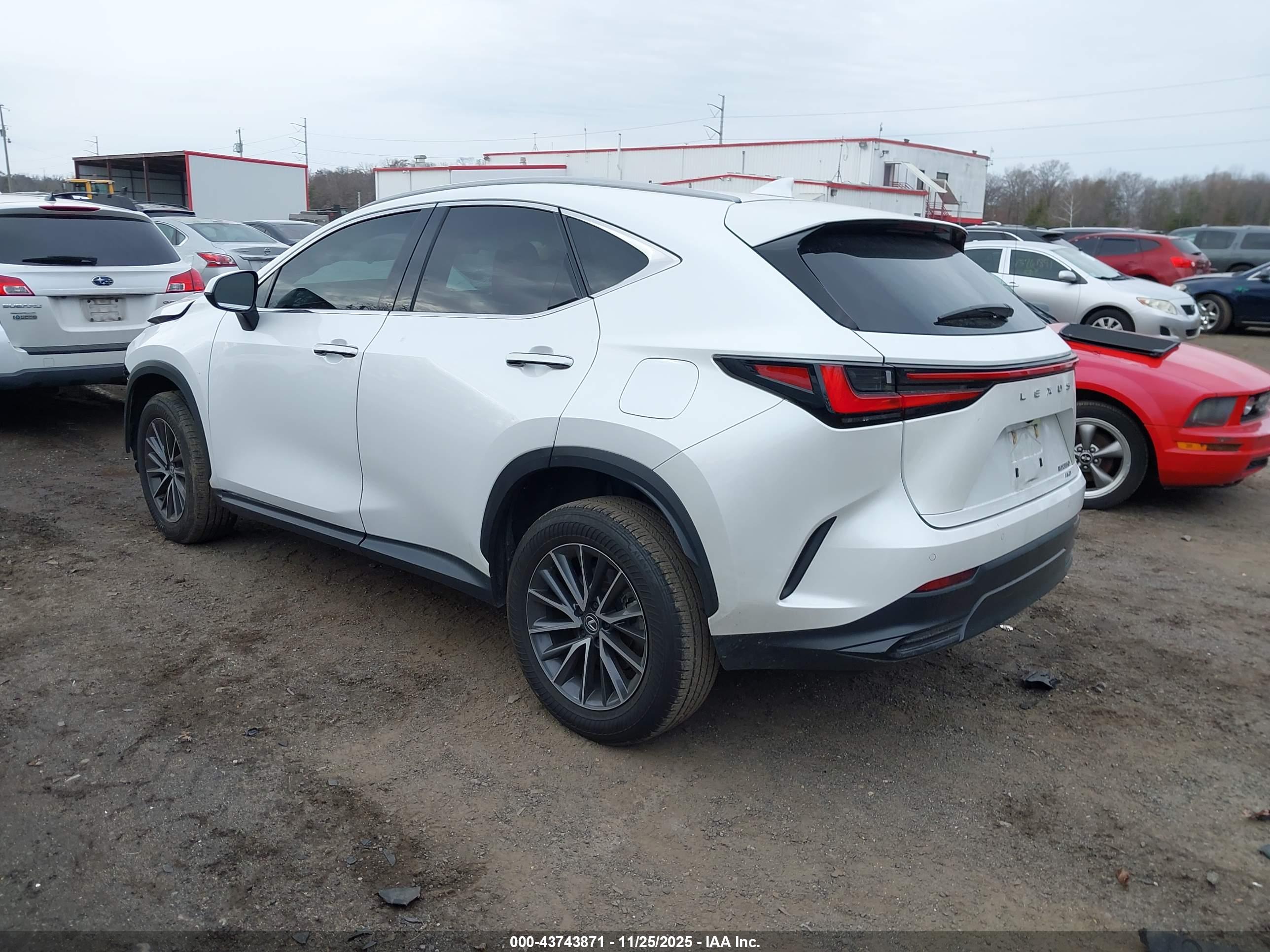 LEXUS NX image 3