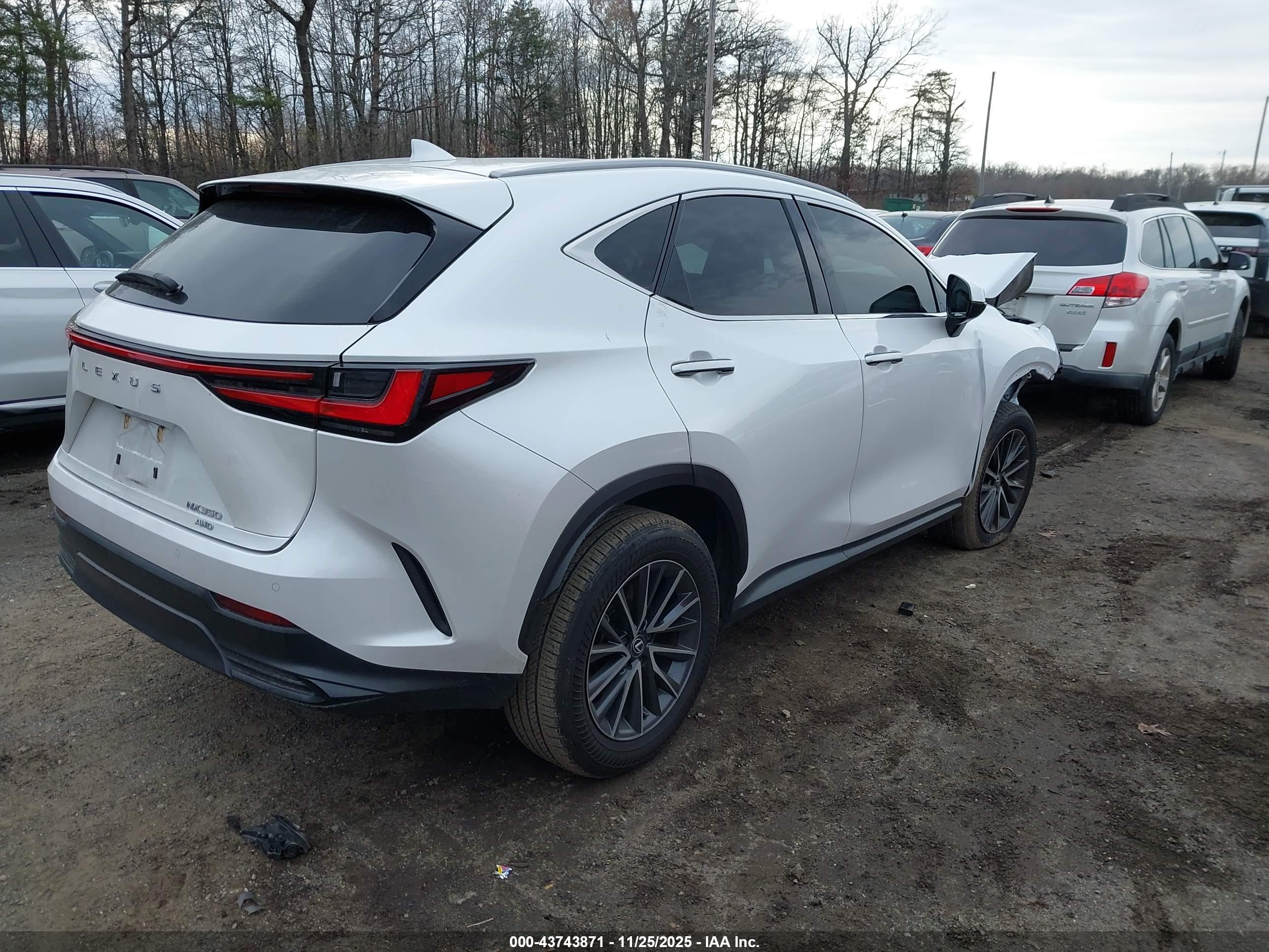 LEXUS NX image 4